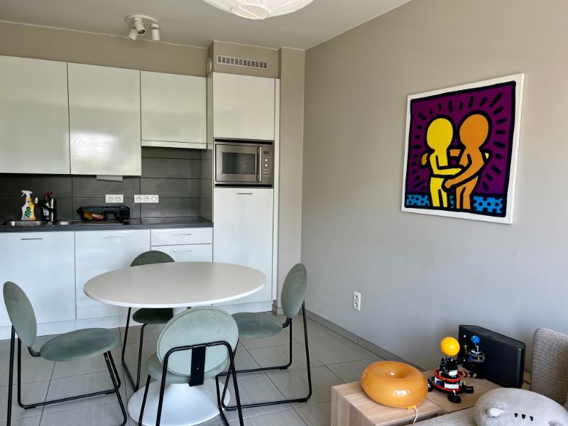 INSTAPKLAAR GEMEUBELD APPARTEMENT MET 1 SLAAPKAMER foto 6