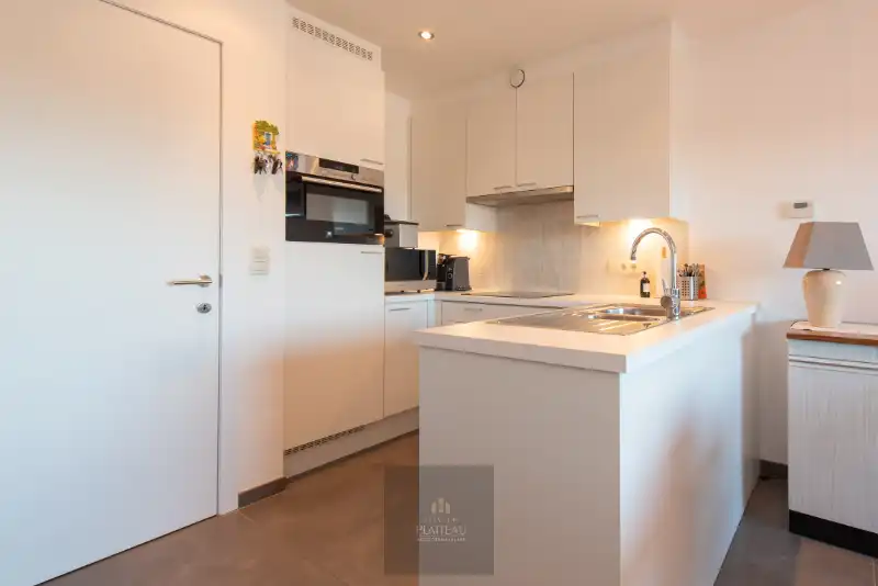 Recent duplex-appartement met één slaapkamer en slaaphoek. foto 15