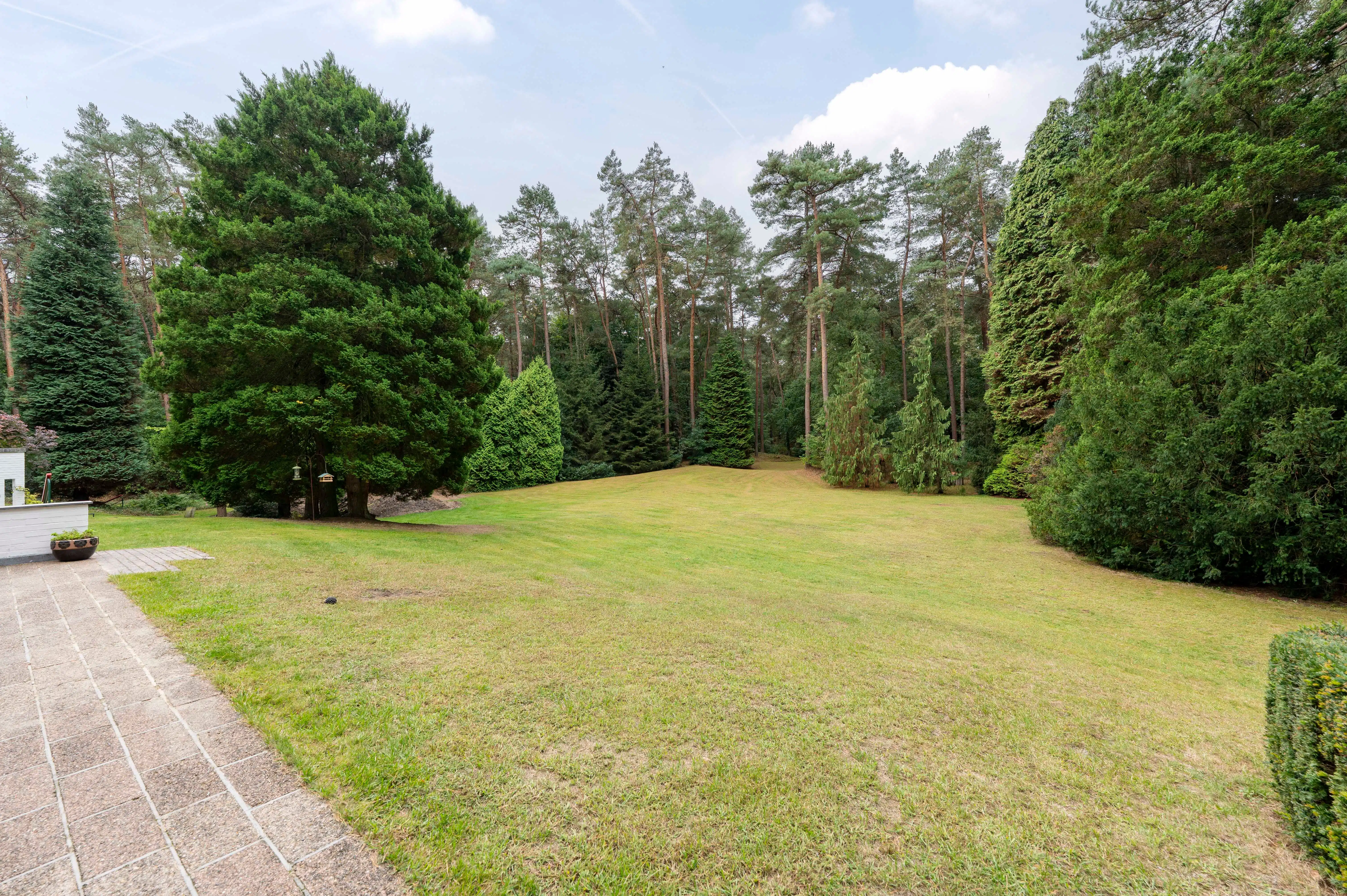 Architecturale sixtieswoning in volledige privacy en uniek natuurlandschap! foto 4