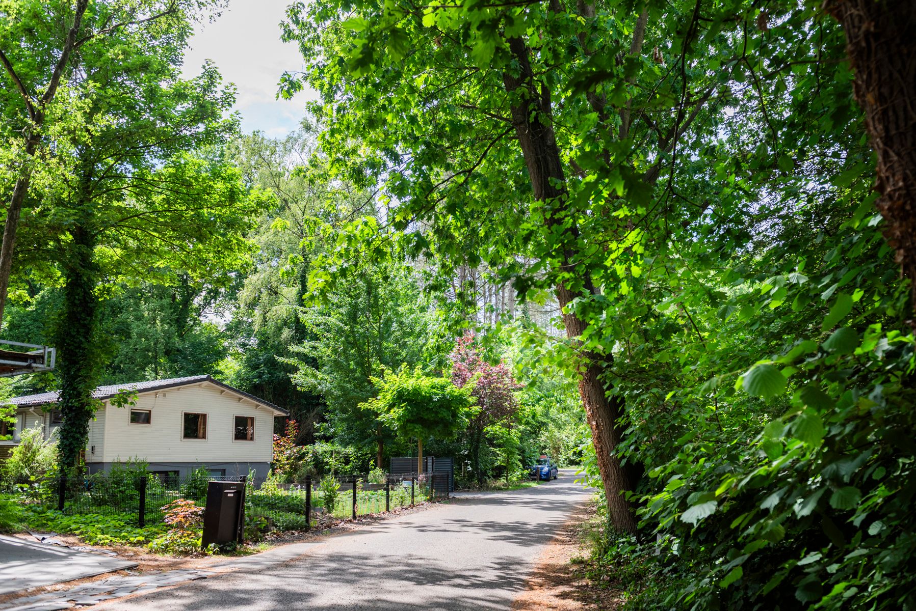 Wonen in het groen: chalet op dubbel perceel in Waasmunster foto 24