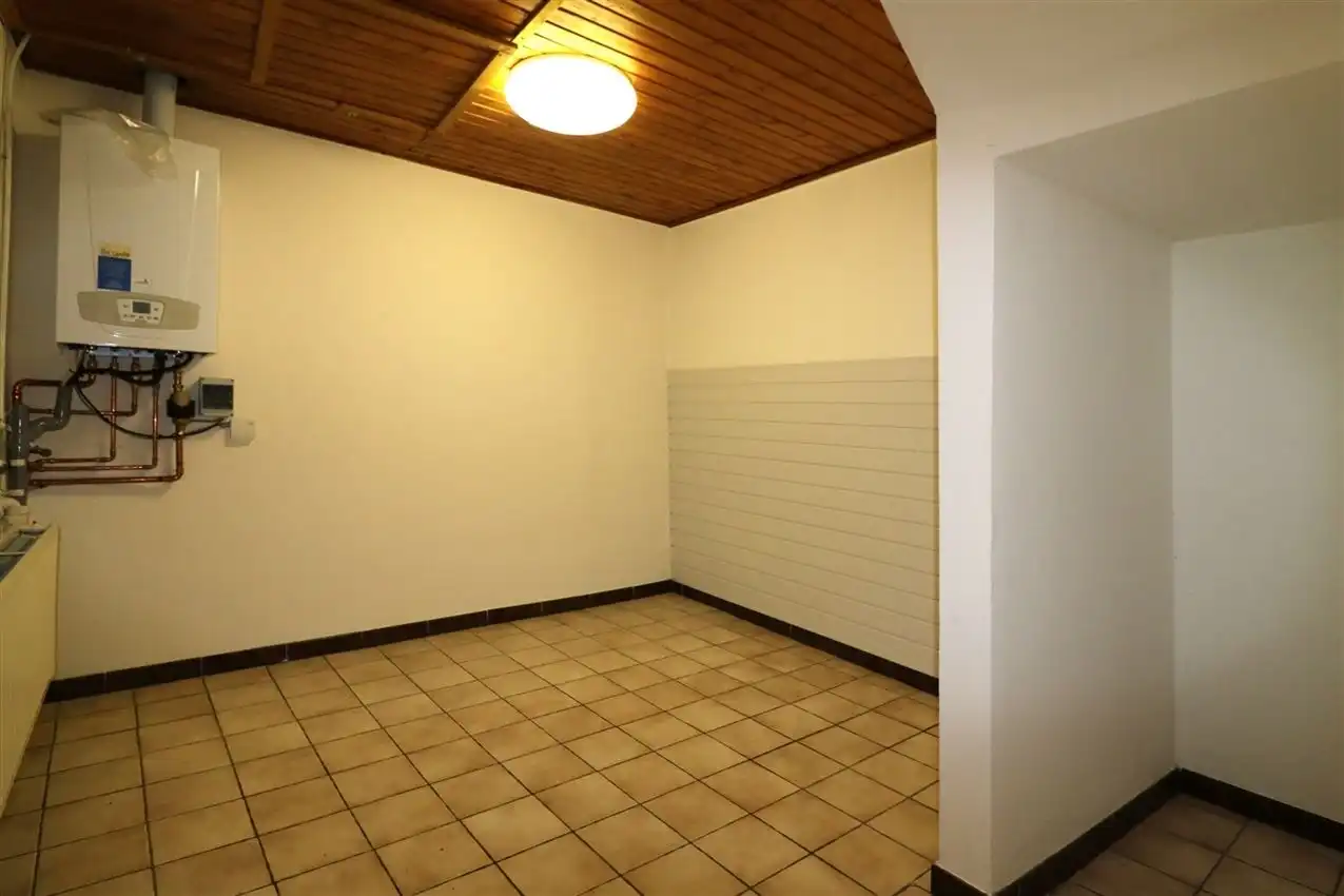 charmant, ruim, mogelijkheid beroep of kangoeroe foto 61