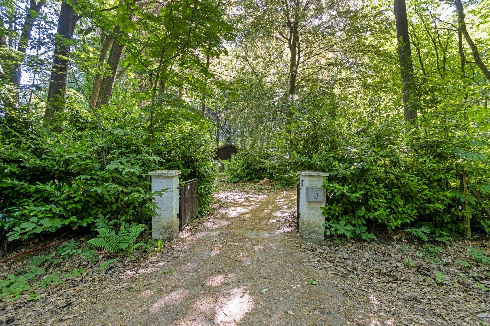 Prachtige vakantiewoning / 2de verblijf in het rustige Verbrandenbos te Kessel-Lo – perceel van 2004 m² – ideale ligging voor natuurliefhebbers foto 18