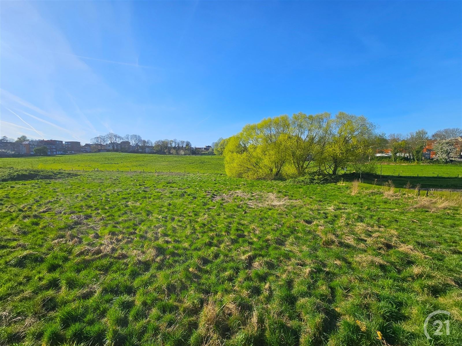 Magnifiek gelijkvloersappartement met royaal terras en weids uitzicht

 foto 5