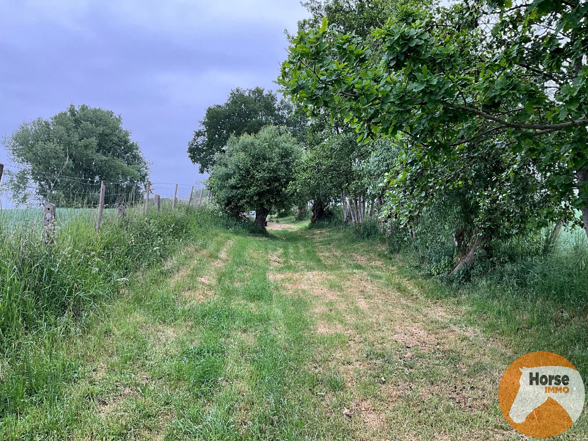 GERAARDSBERGEN - Rustig gelegen weide - 1,04 ha  foto 3
