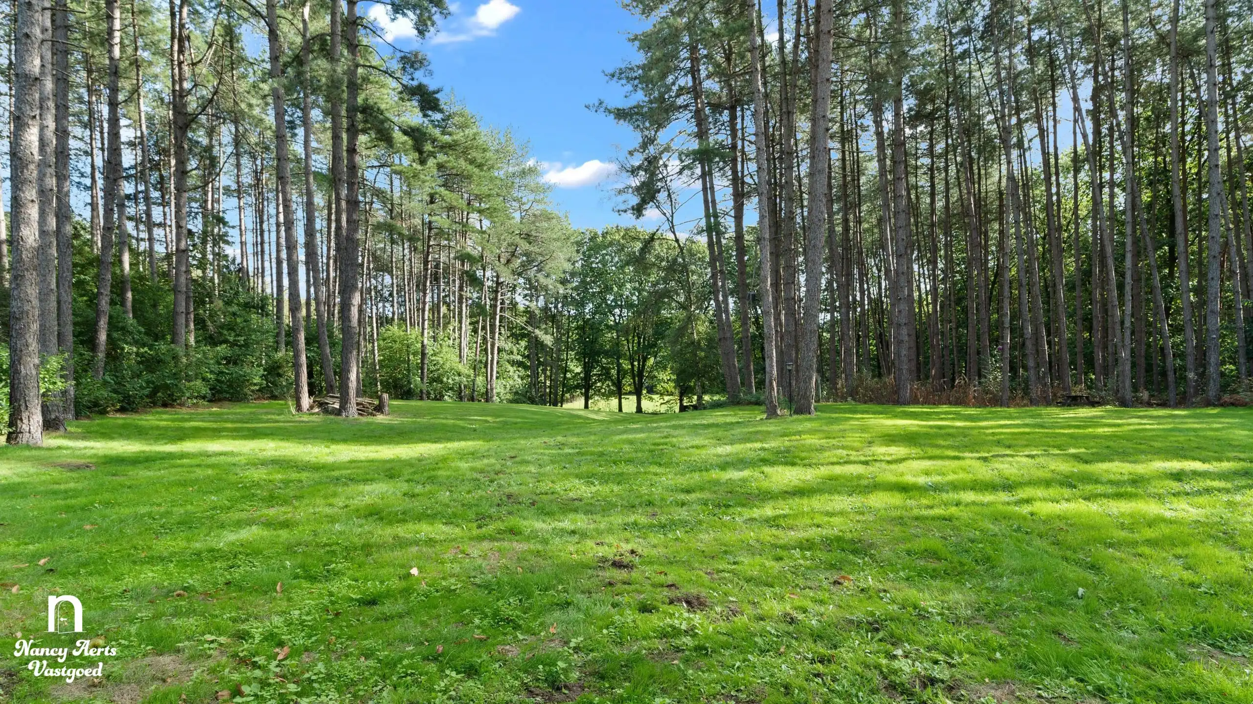 Exclusief landgoed op 1,28 ha met villa en paardenstallen foto 28