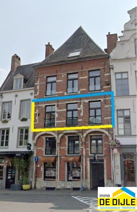 Ruime studio van ca 48m² pal in het centrum van Leuven foto {{pictureIndex}}