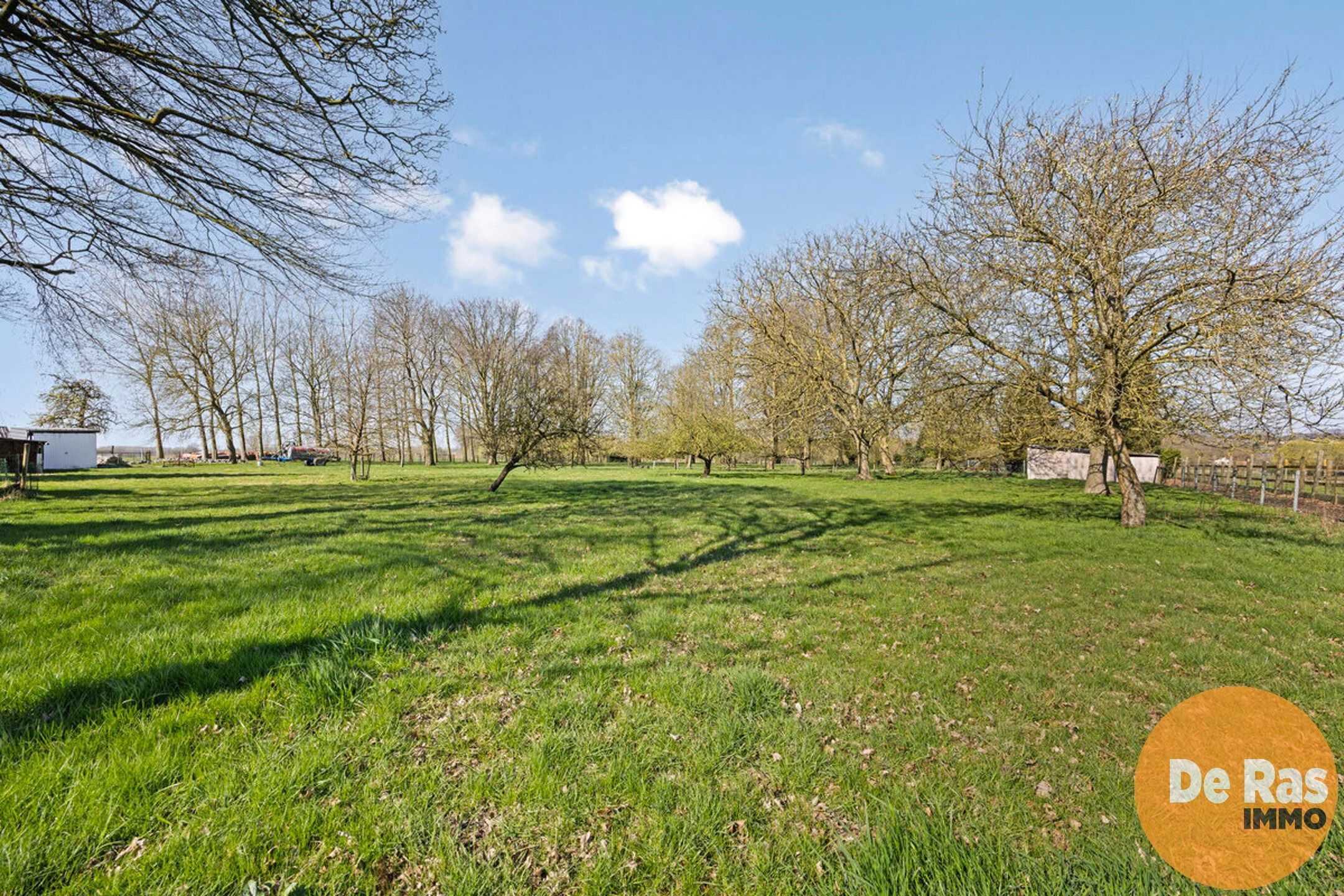 WOUBRECHTEGEM- Karaktervolle renovatiewoning op 1ha 25a 50ca foto 31