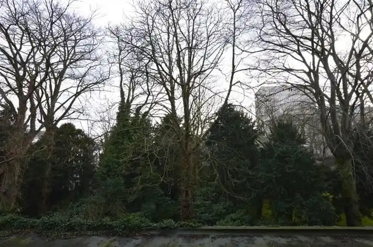 Opbrengsteigendom/studio van 34 m² te Antwerpen! foto 12