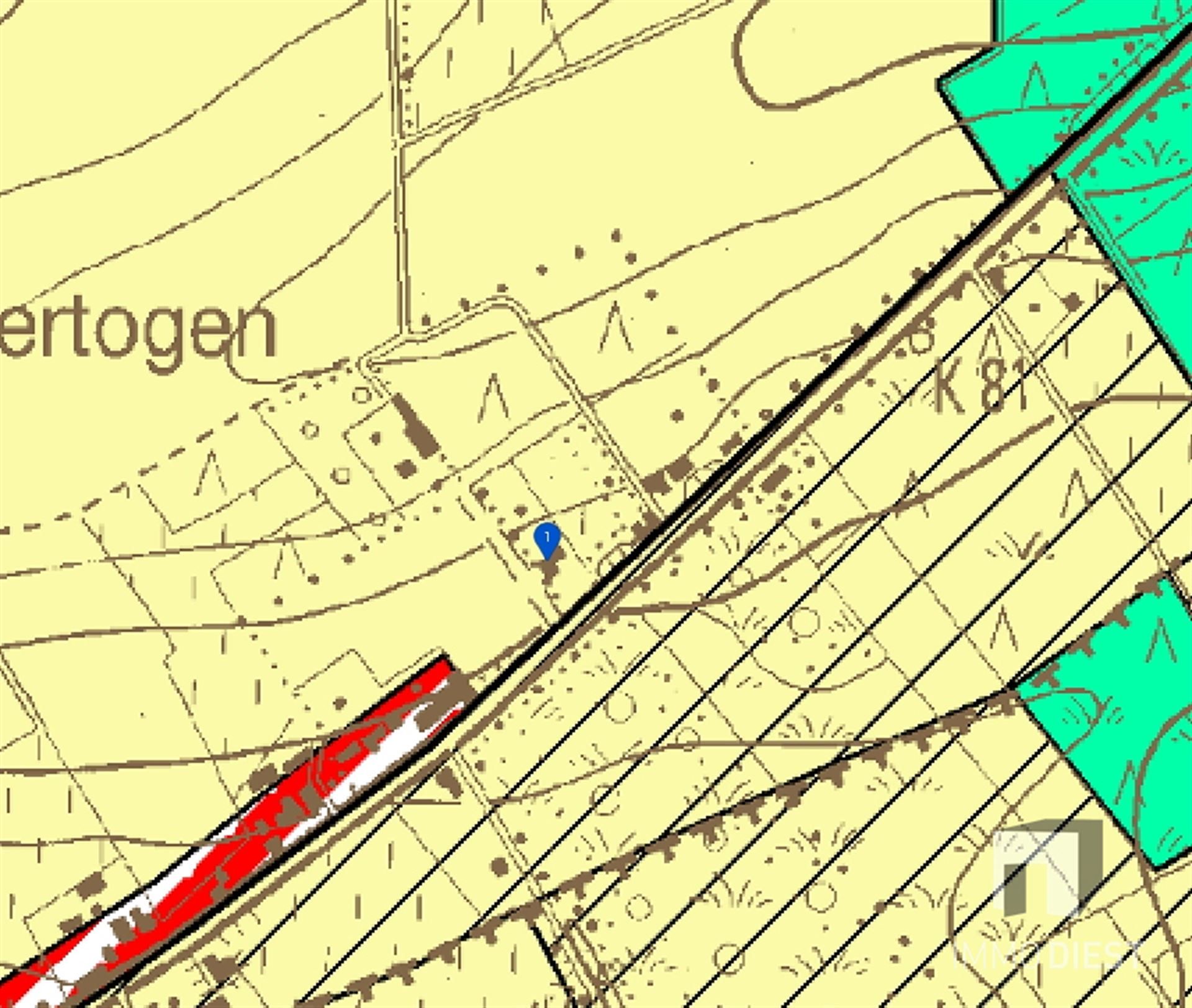 Landhuis met karakter en ruimte (min. 4 slpks) foto 35