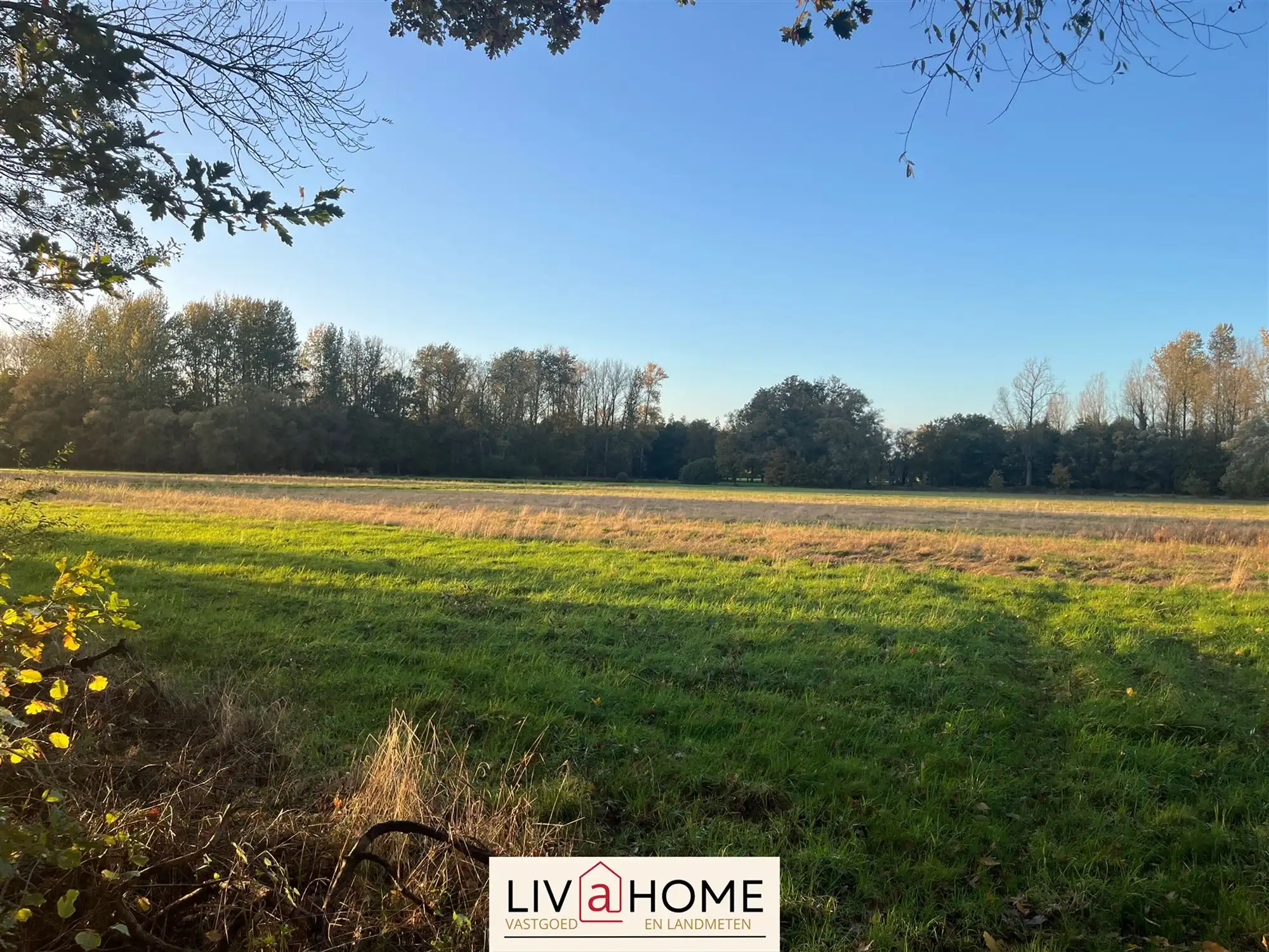 landbouwgrond - niet verpacht. foto 5