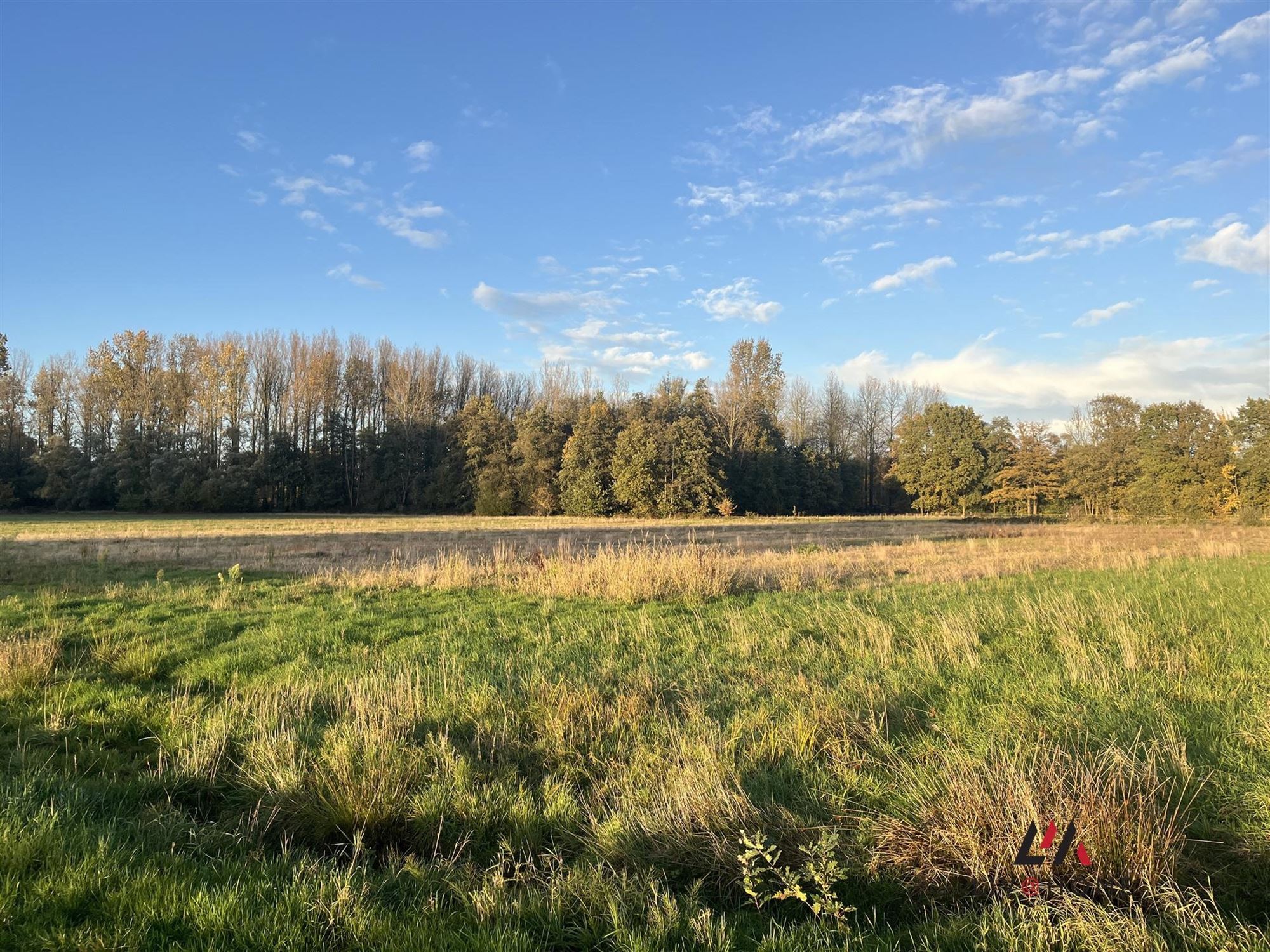 landbouwgrond - niet verpacht. foto 5