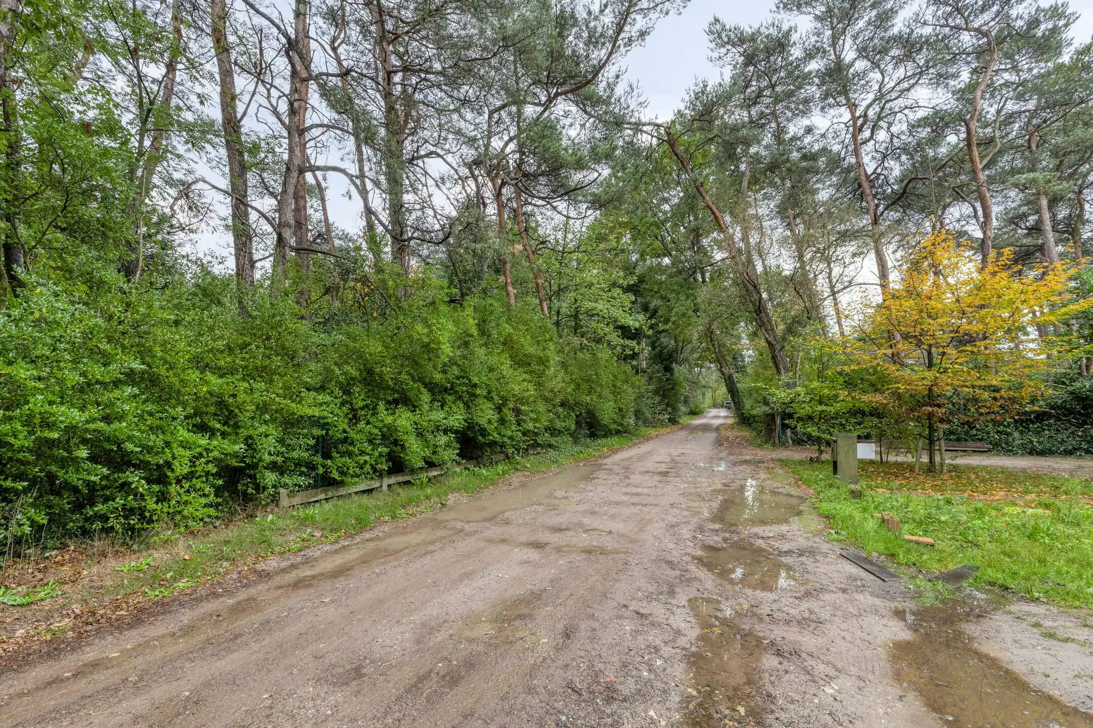 Woning met 2 slaapkamers in het woonbos van Essen-Wildert! foto 30