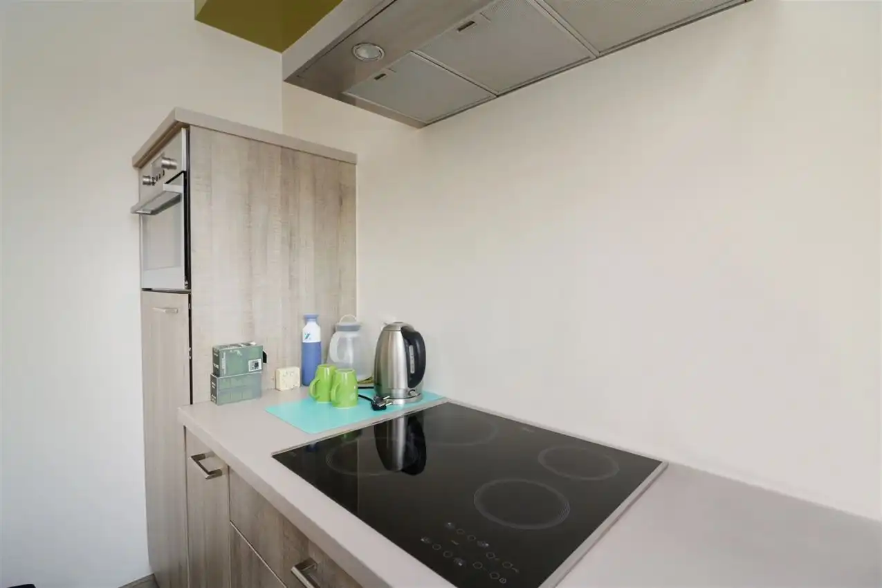 Zonnige penthouse met 2 slaapkamers, mooi terras, inclusief garage  foto 10