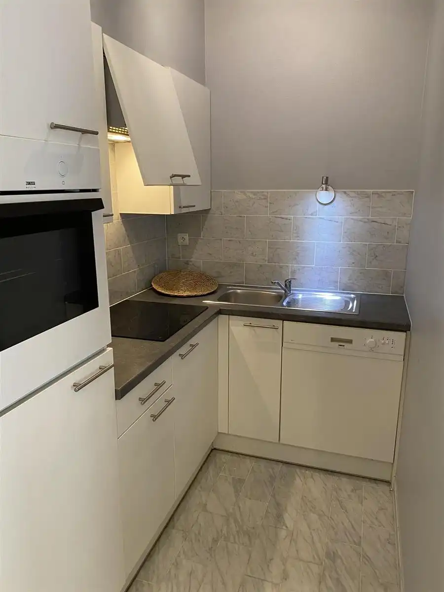 Gemeubeld 2 slaapkamer appartement (Europese wijk) foto 5