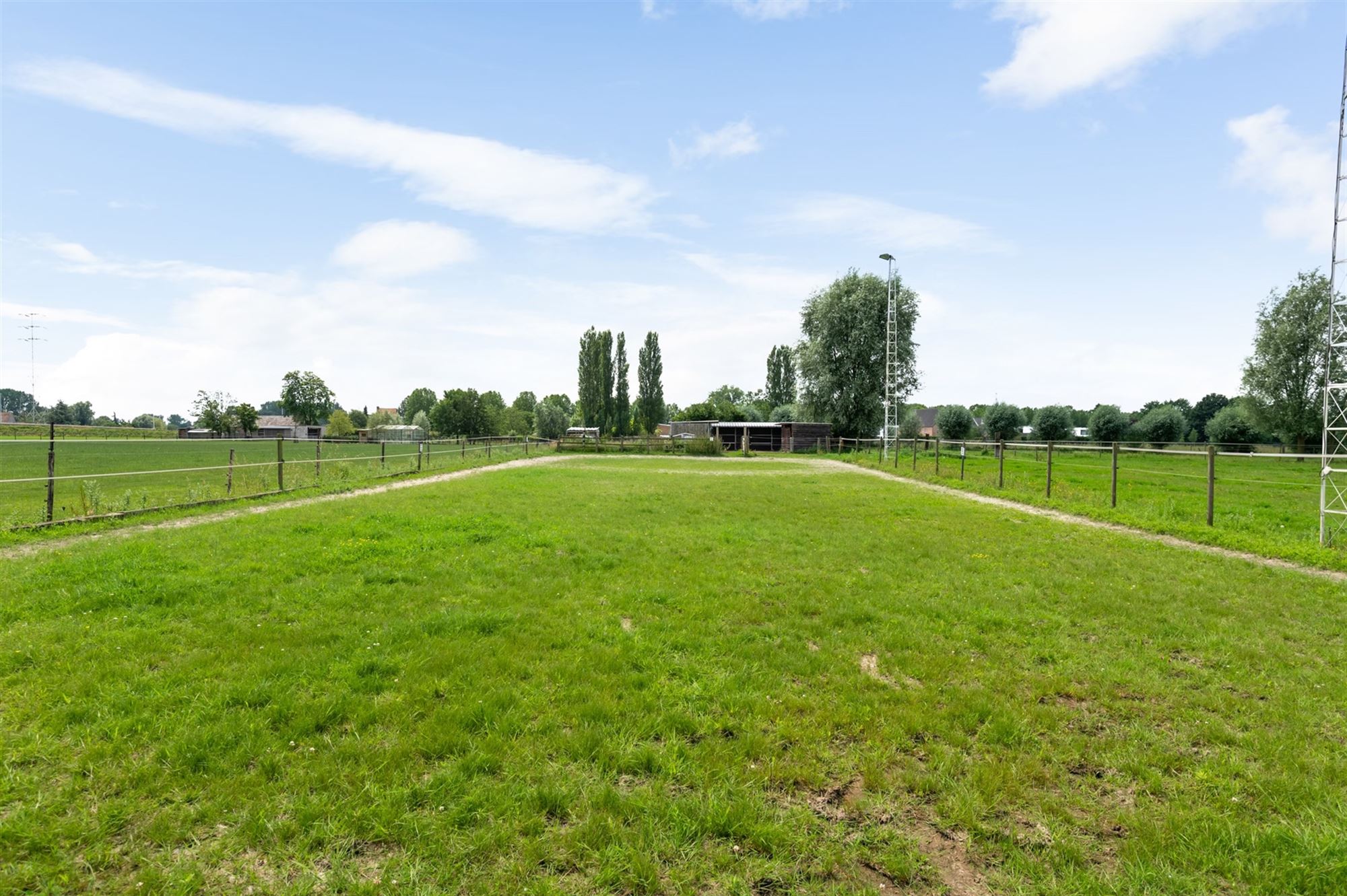 Prachtige paardenweide met stallen en piste foto 17