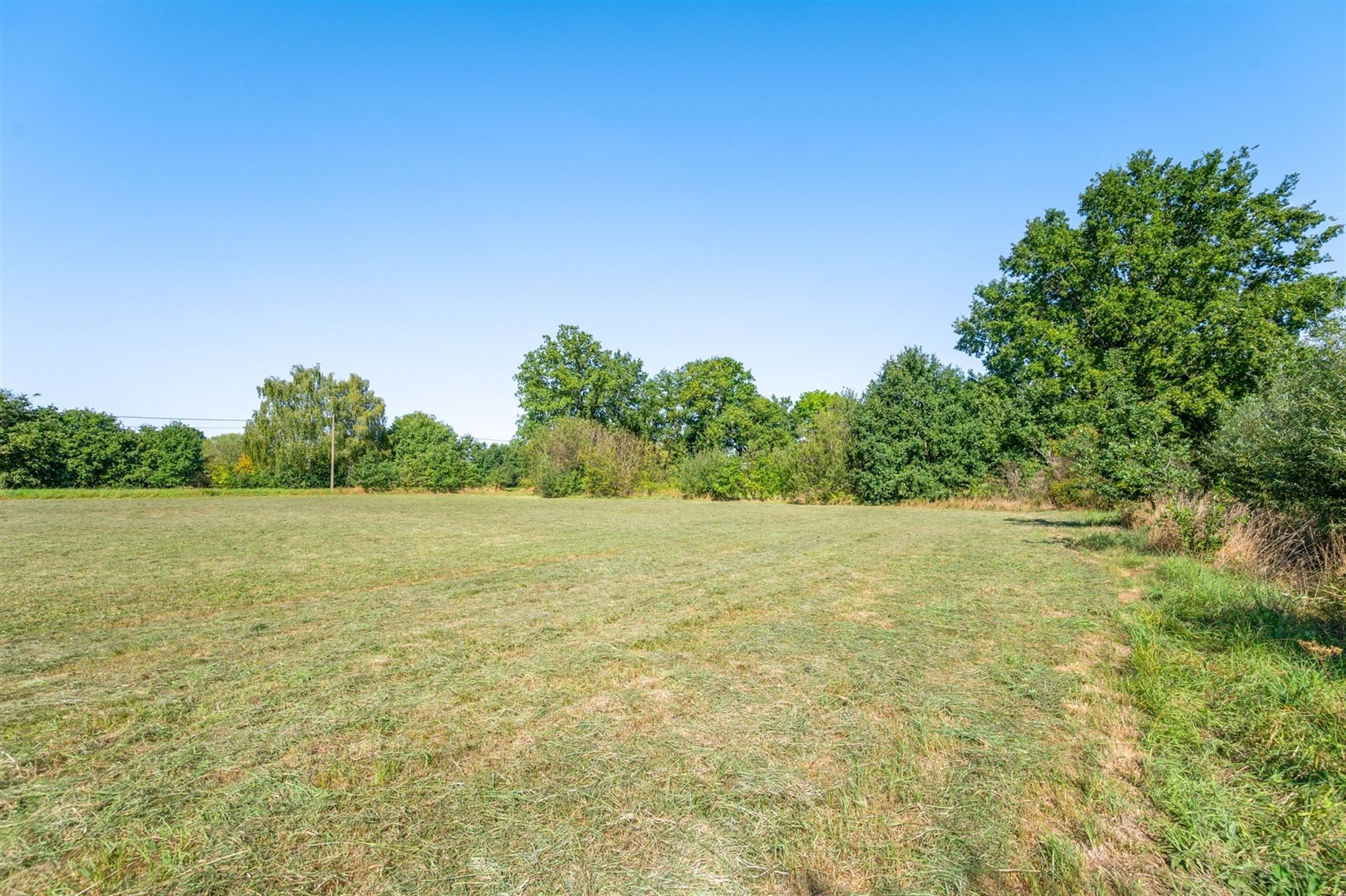 Perceel landbouwgrond te Beerzel - opp. 2547 m² foto 7