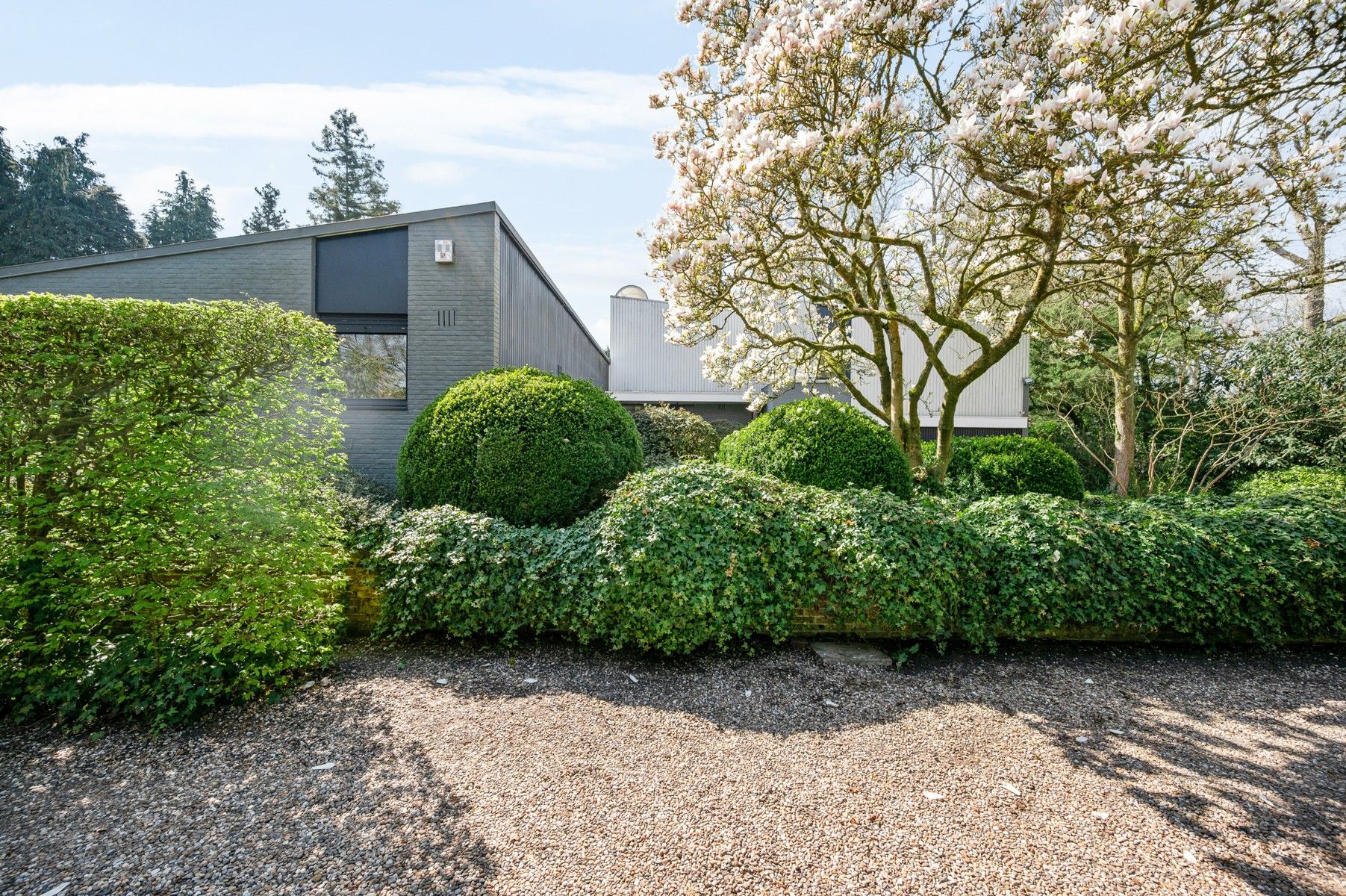 Laagbouwvilla op domein van 4.953 m² foto 5