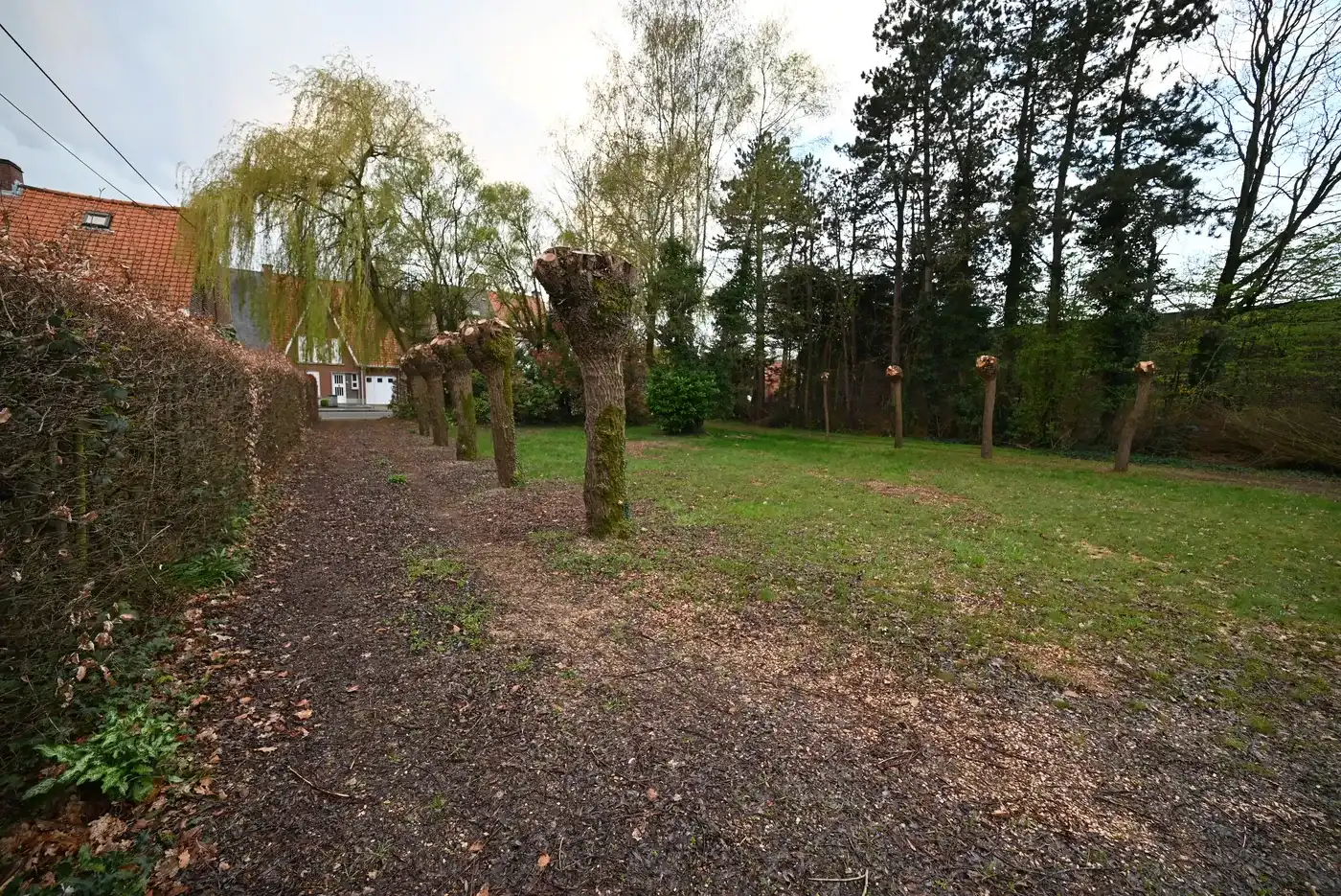 Ruime bouwgrond centum Ingelmunster  foto 8