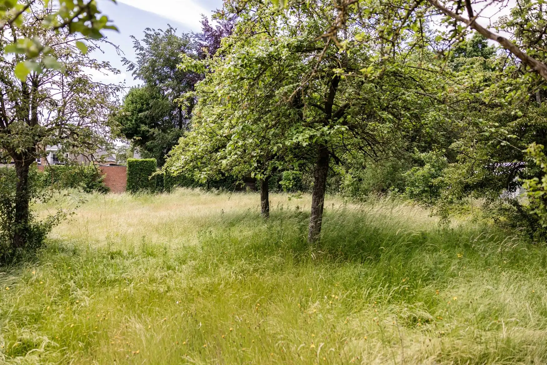 6% btw - oplevering voorjaar 2027 foto 7