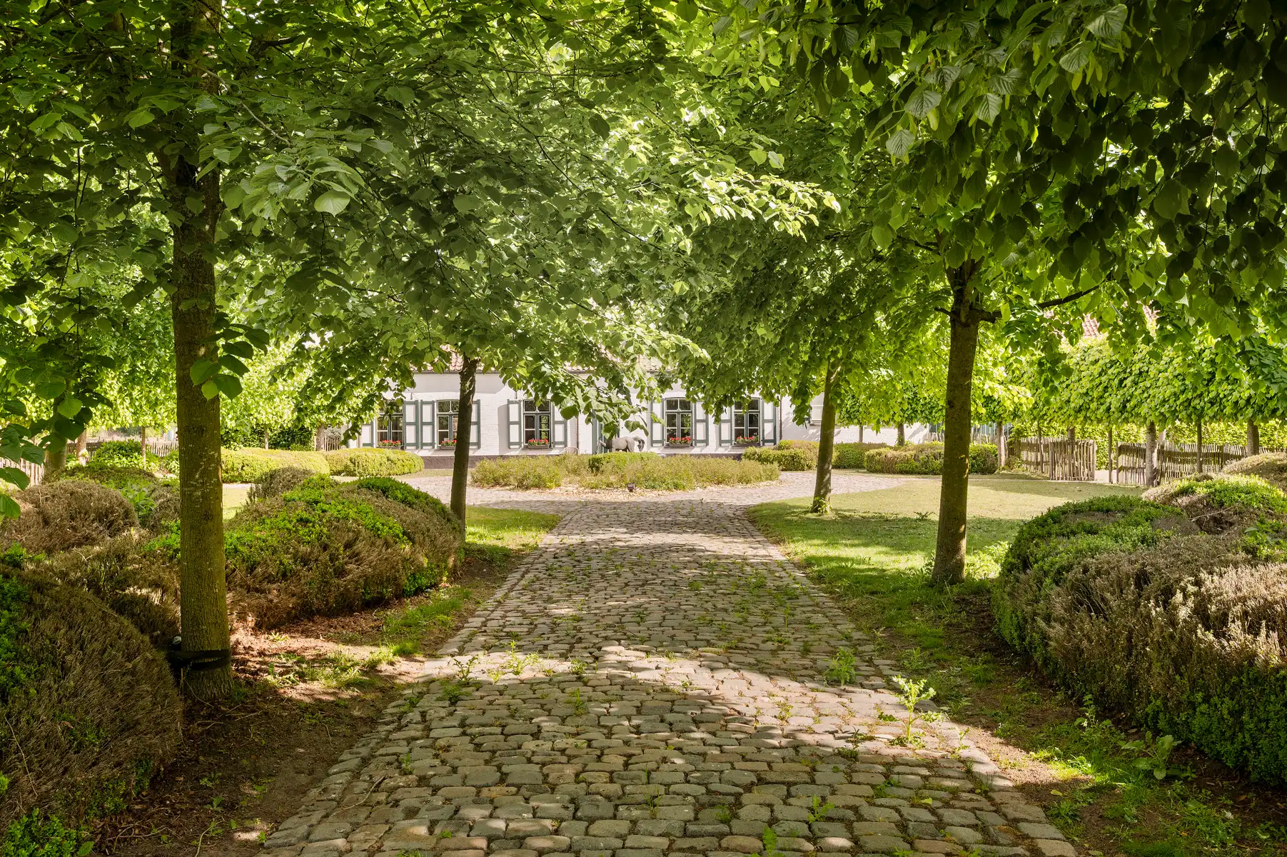 Exclusief landgoed met topligging in Brugge (Assebroek)  foto 9