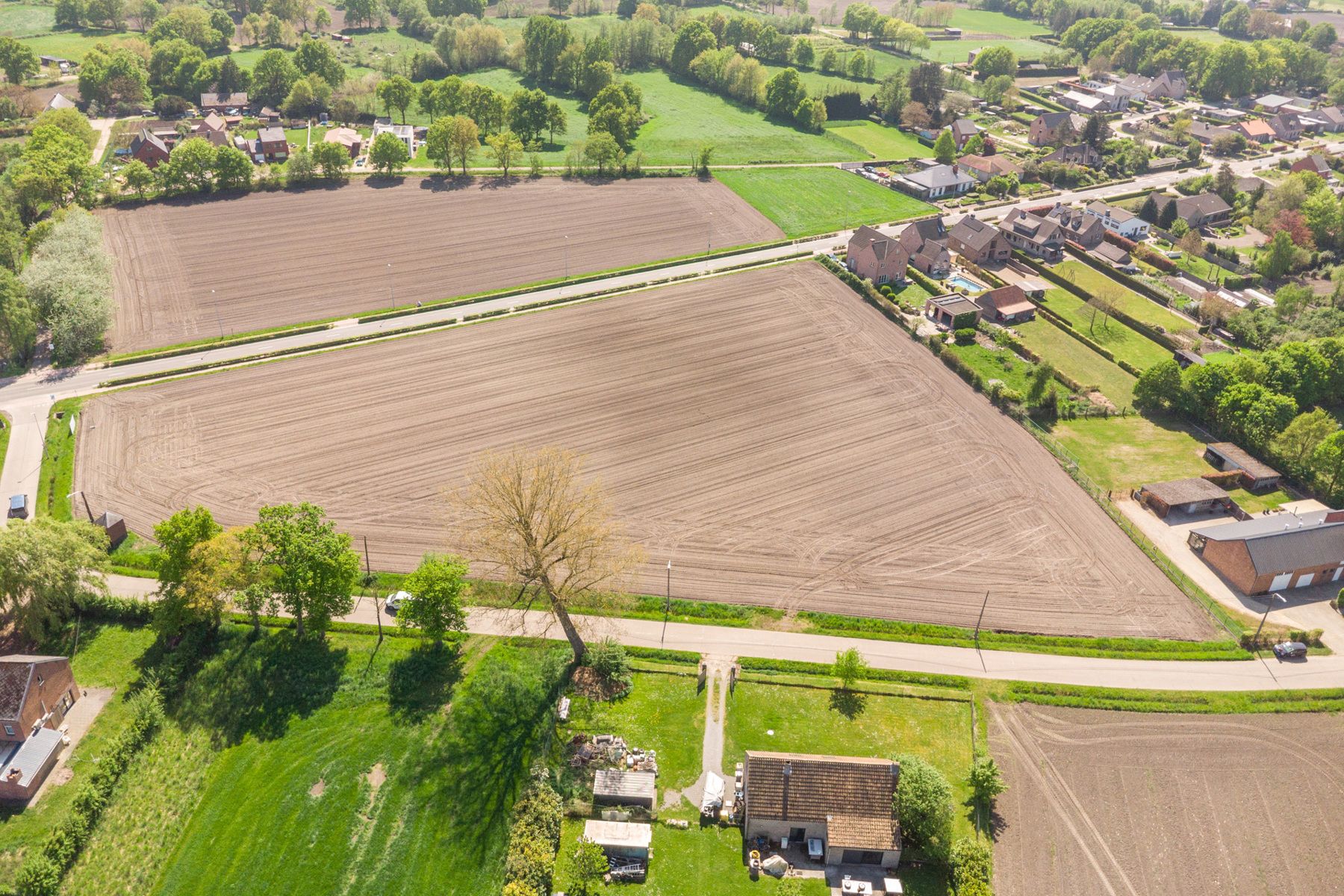 Uitgestrekte landbouwgrond van bijna 3 hectare. foto 3