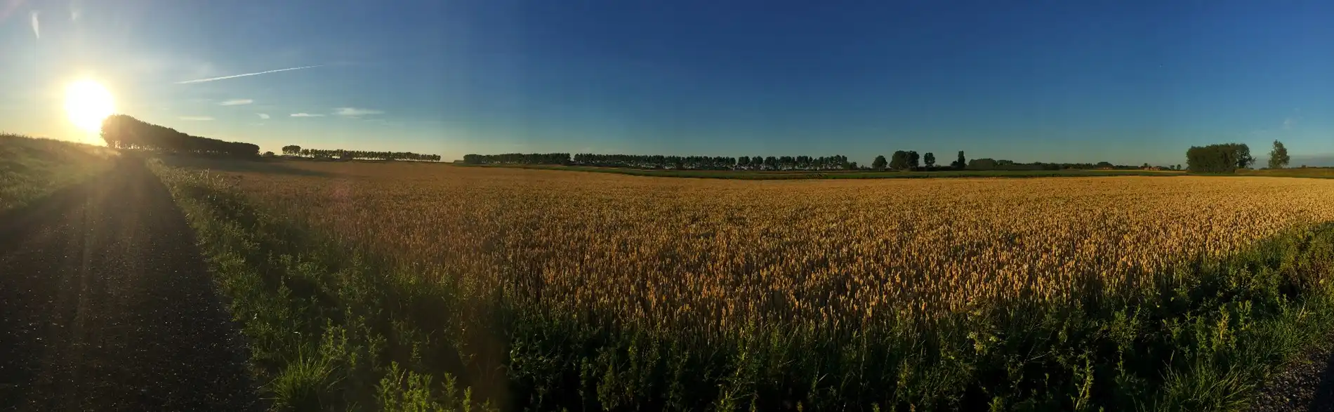 Exclusieve Bouwkavel met Architectonisch Ontwerp – Platteweg, Ter Hofstede foto 4