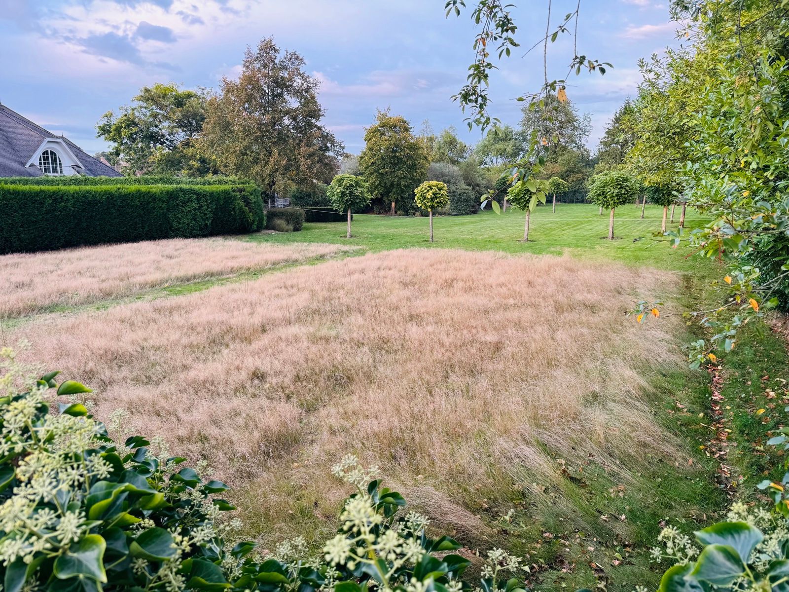 Bouwgrond van 861m² voor open bebouwing TOPLIGGING foto 7