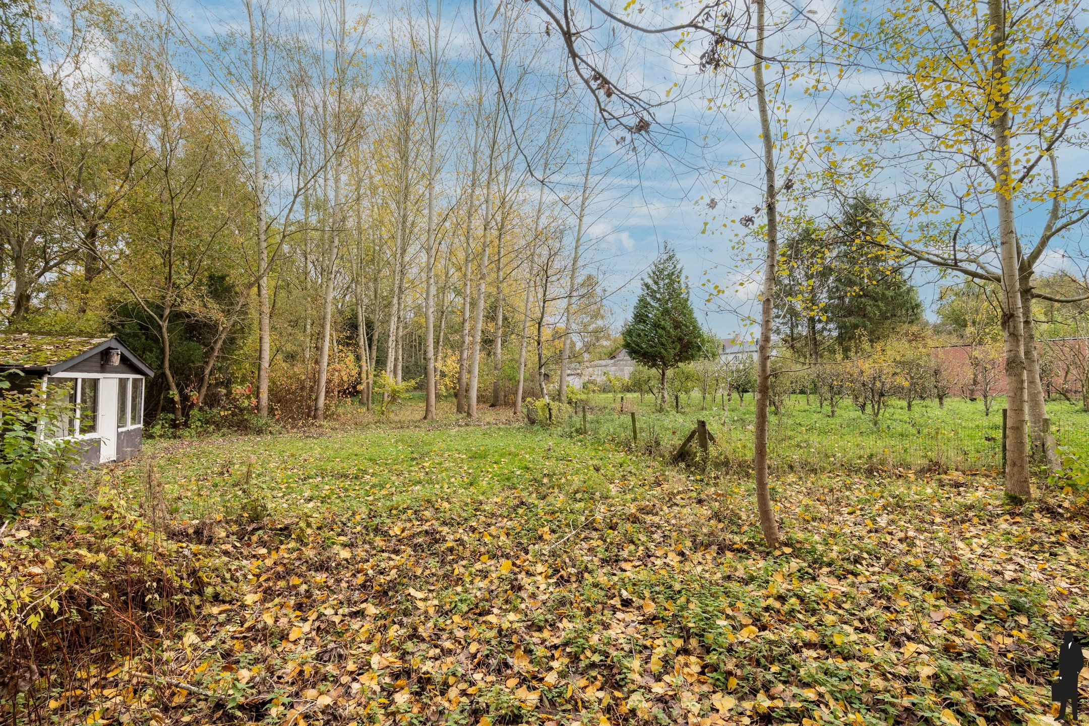 Woning op riant perceel van 8.906m² met vele mogelijkheden foto 26