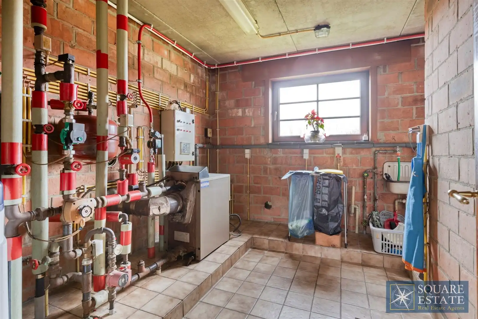 Charmant huis op een perceel van 1,17 hectare, met stal foto 19