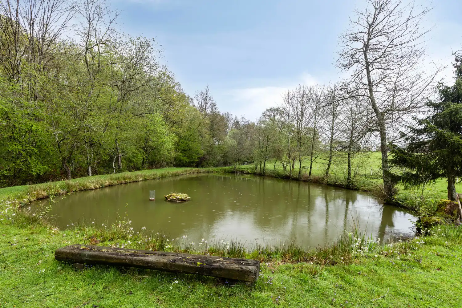 Karaktervolle en zeer ruime woning met Gîte en Chambre d’Hôtes foto 20