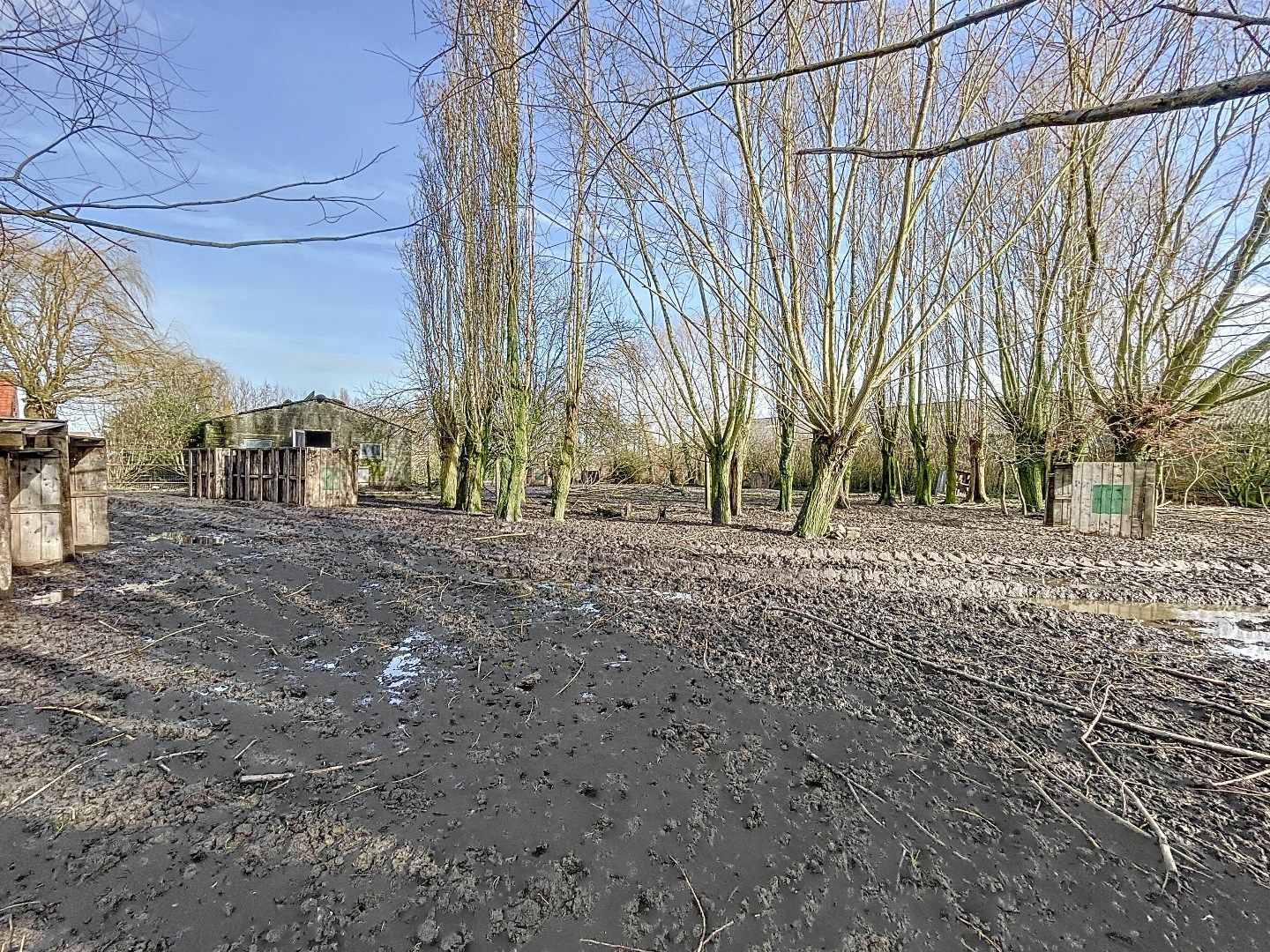 Landelijk gelegen te renoveren eigendom op 4482m² foto 9