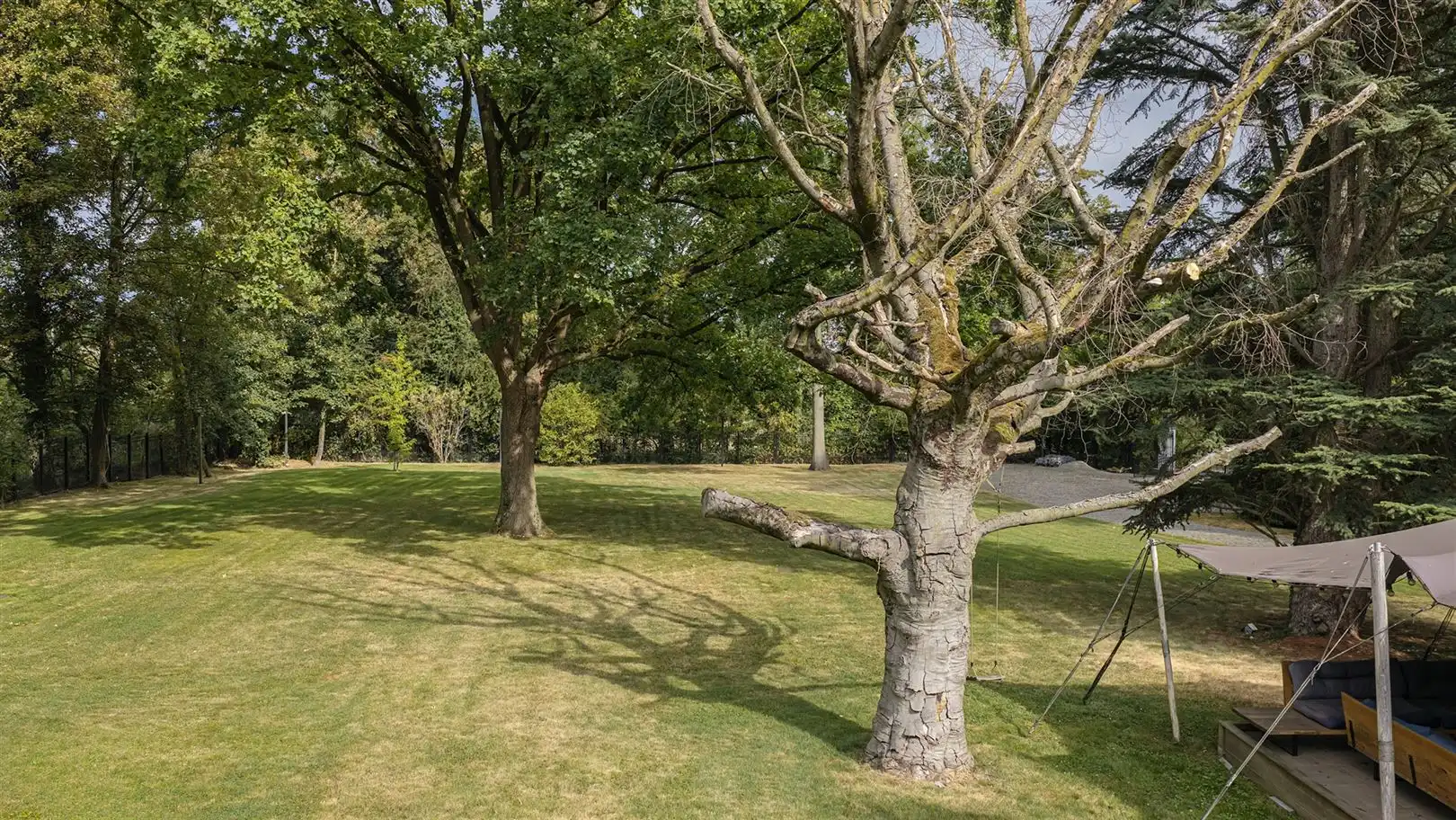 State-of-the-art villa tussen eeuwenoude bomen foto 37