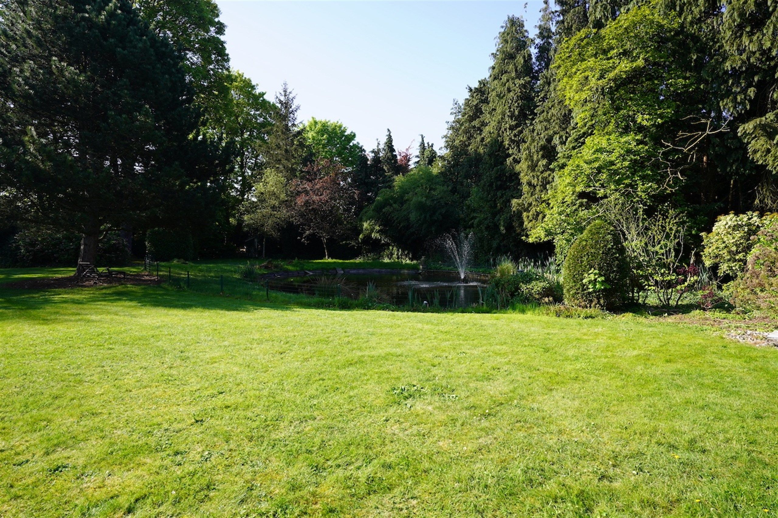 Opportuniteit! Eigendom op 1 Ha met buitengewone privileges foto 7
