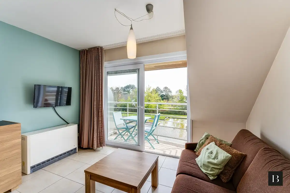 Zuidgericht 2-slaapkamerappartement met terras, dicht bij het centrum foto 8