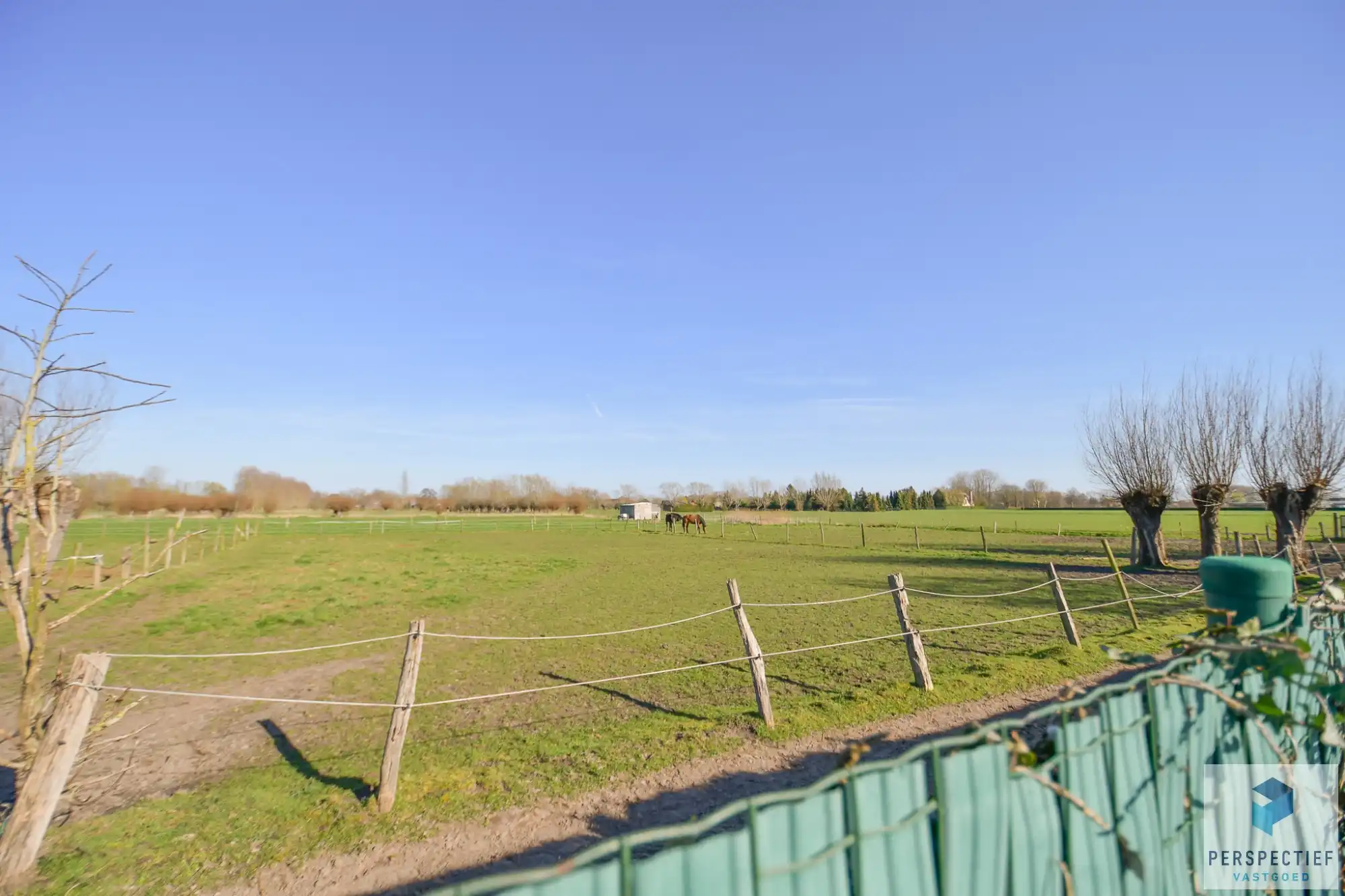 BEZOEKMOMENT WOENSDAG 25/03 VAN 16U TOT 18U | UITSTEKEND GELEGEN GELIJKVLOERSE WONING met 4 slaapkamers en tuin foto 5