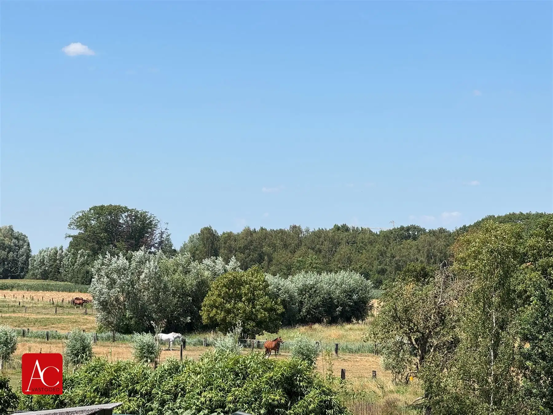 Uitzonderlijk grote gezinswoning met 6 slaapkamers en een grote tuin foto 22