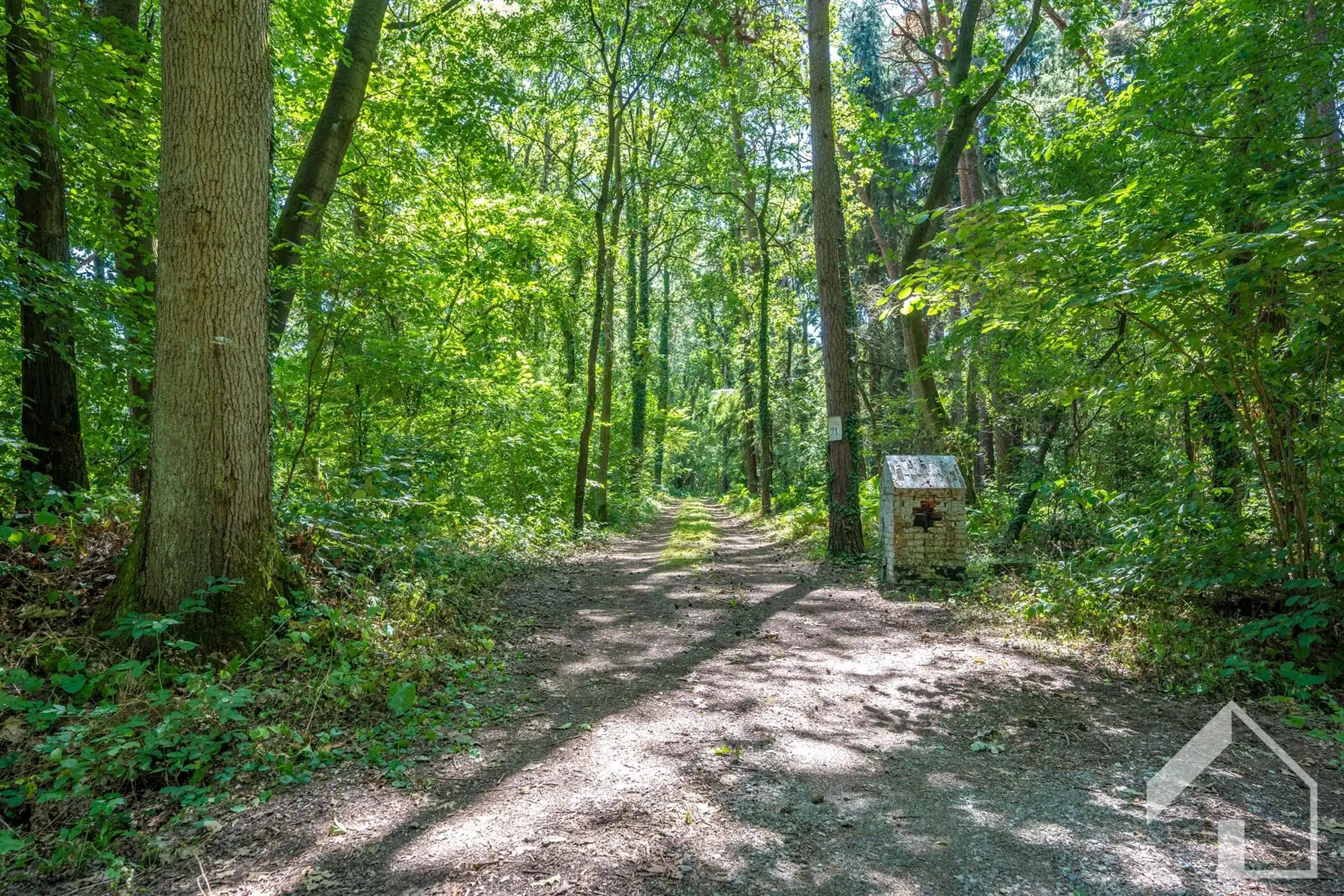 Uniek renovatieproject op uitzonderlijk domein van meer dan 4 hectare in Pulderbos foto 3