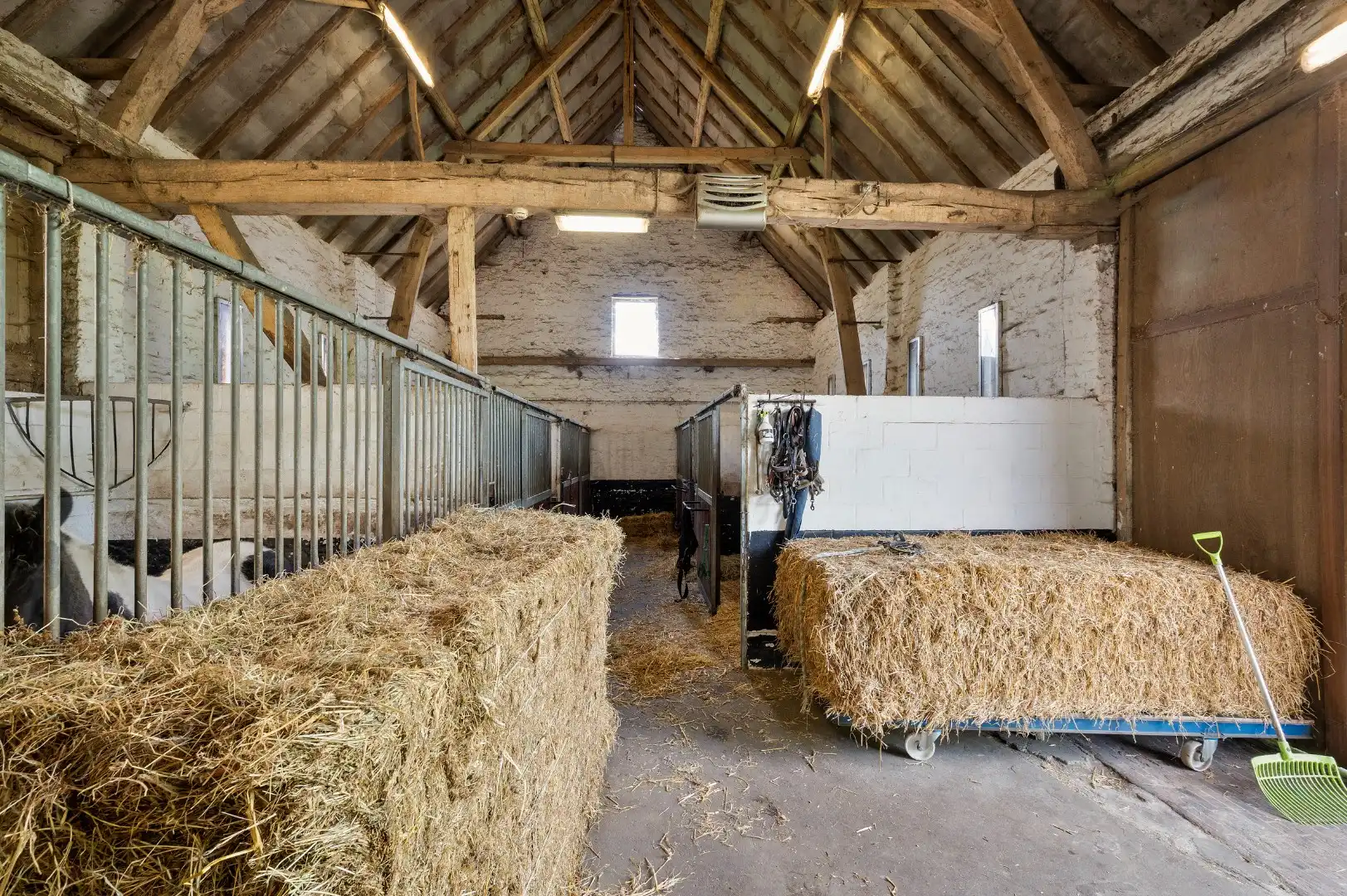 Uitzonderlijke hoeve met binnenpiste en paardenstallen op 1,88 hectare foto 21