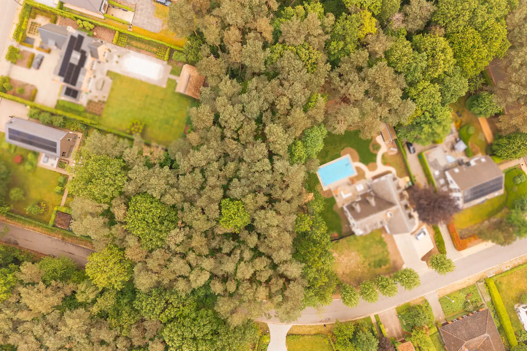 Prachtig gelegen, residentiële villagrond van 26a 59ca foto 6