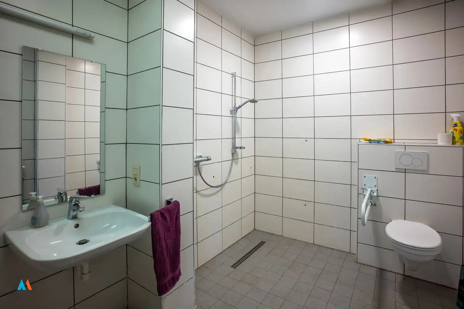 Boerderij met stallen op 1 ha foto 12