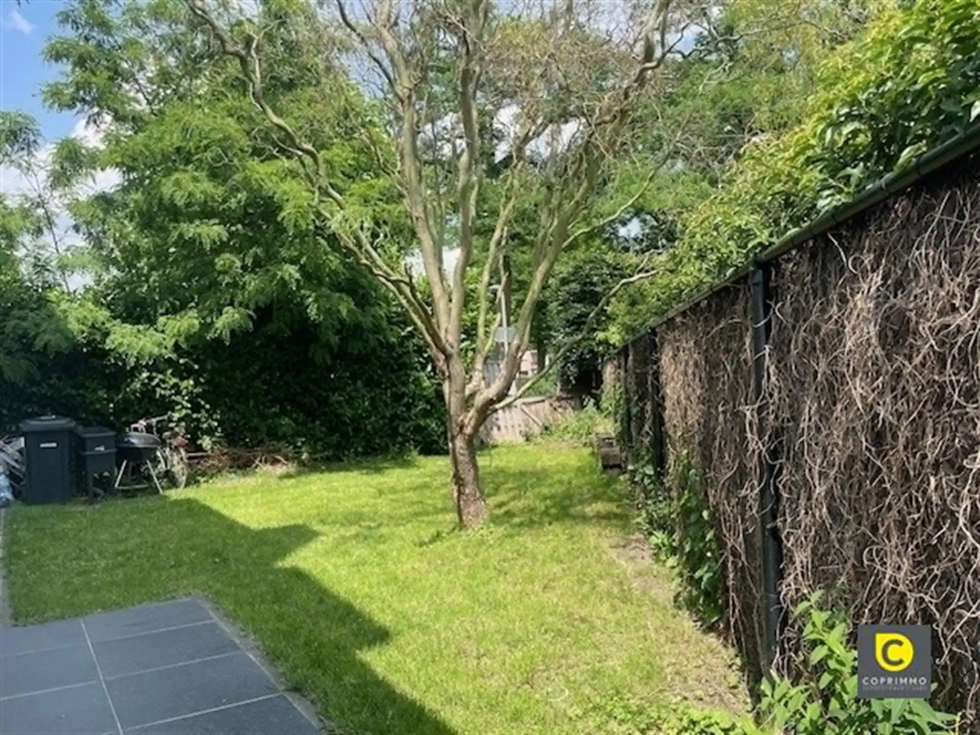 Woning op toplocatie, 5 slp, tuin  foto 6