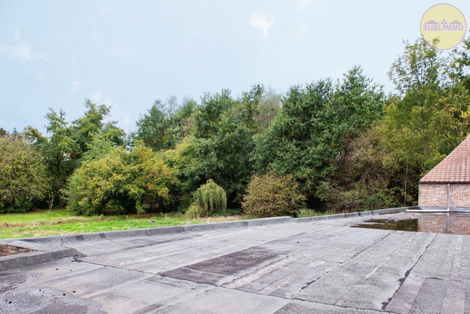 Uniek handelspand met woonst, tuin en tal van mogelijkheden – ideaal als winkel, kantoor, horecazaak, B&B, kangoeroewoning... foto 26