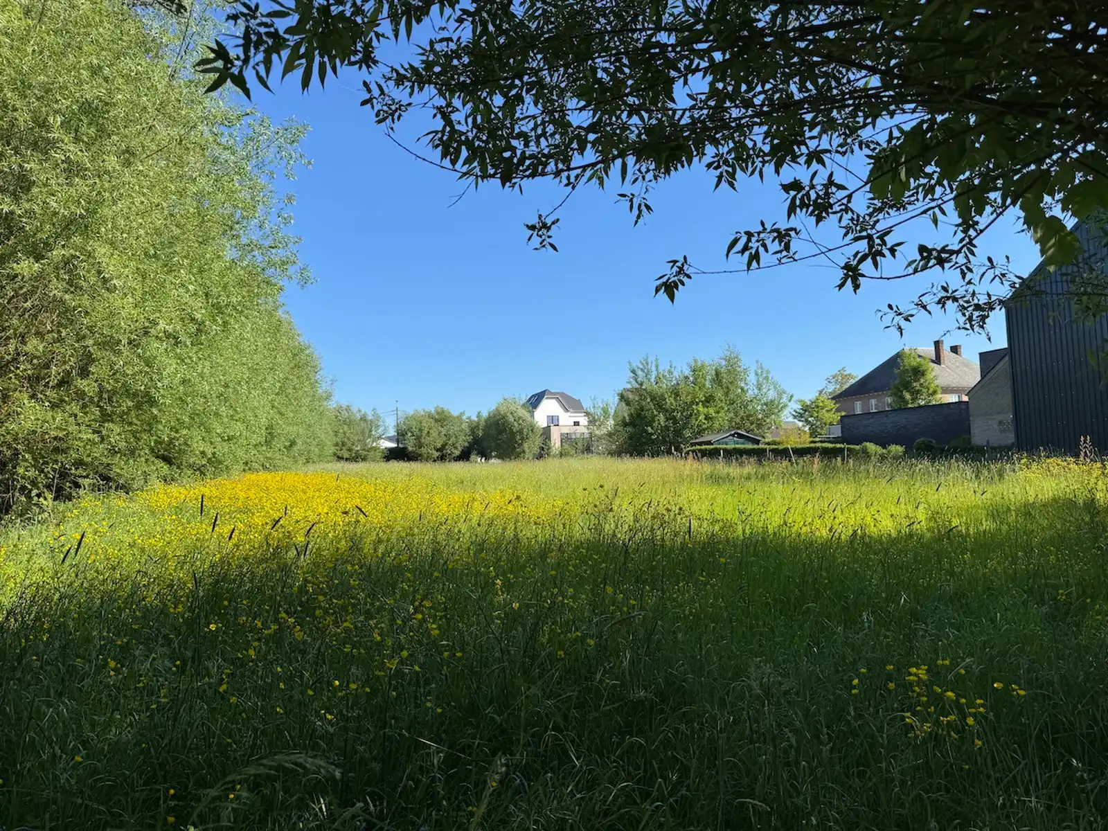 Grond te koop foto {{pictureIndex}}