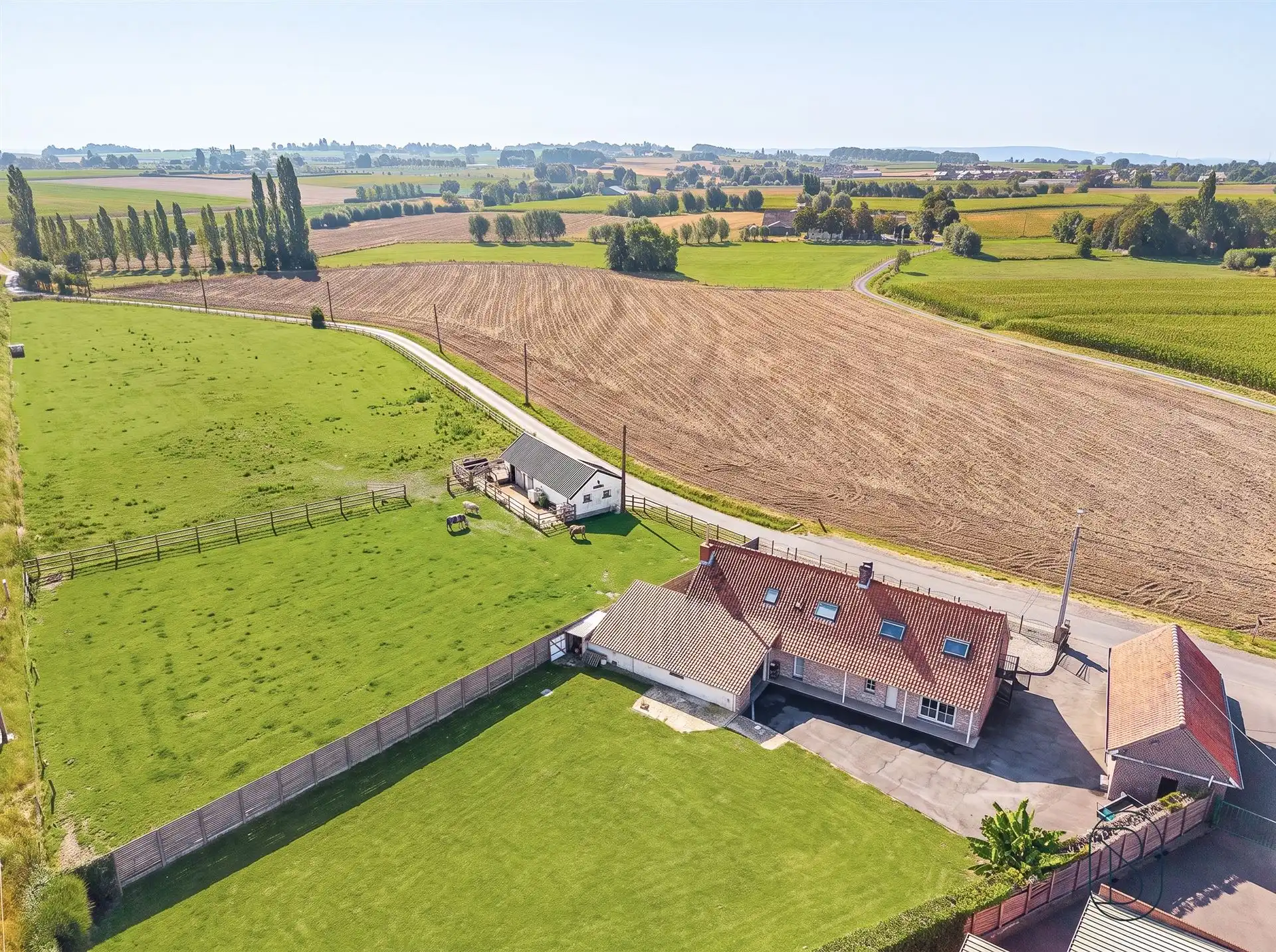 Fermette met paardenstalling en weide te Anzegem op 9.959m² foto 25