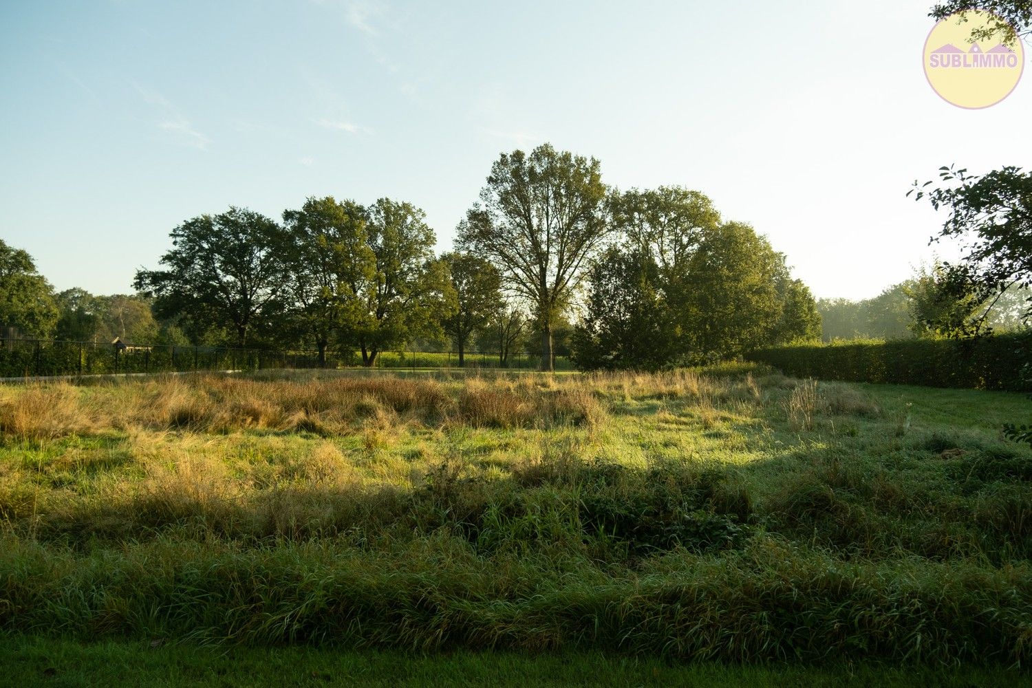 BOUWGROND - 10a07ca - OPEN BEBOUWING - MEERHOUT foto 6