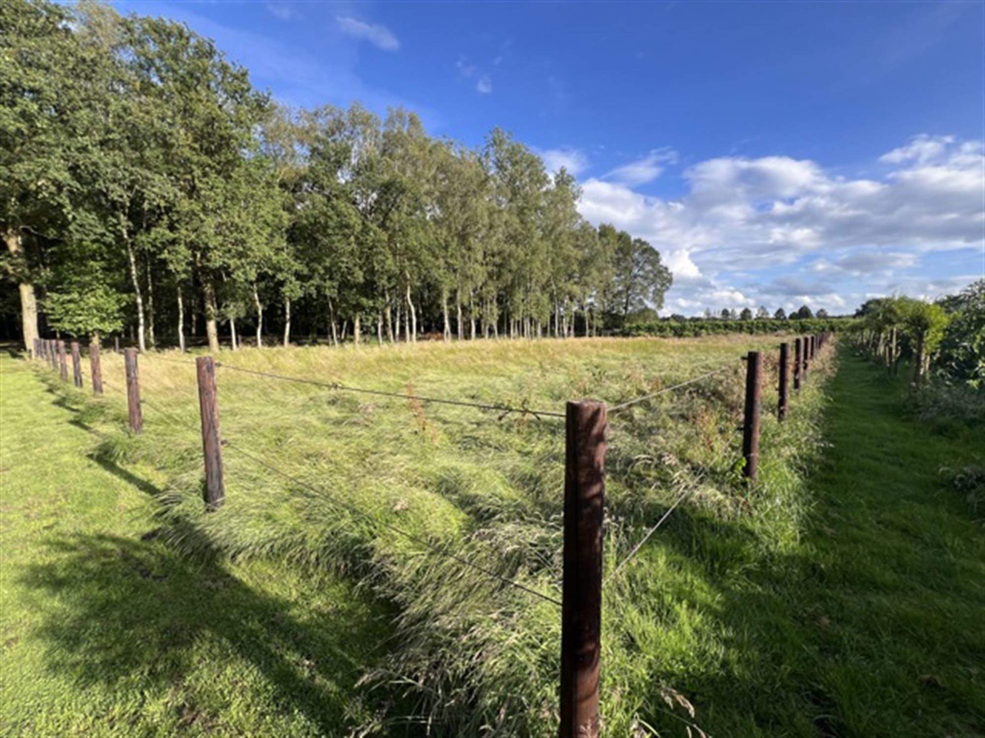 Gerenoveerd enorm landhuis op ongeveer 3 ha foto 6