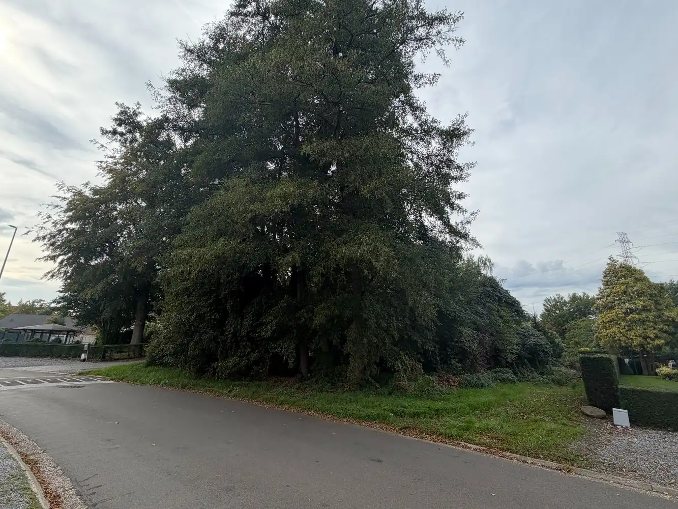 Genk, Schansbroekstraat "5": Ruime bouwgrond van 9a 89ca in een rustige omgeving. foto 2