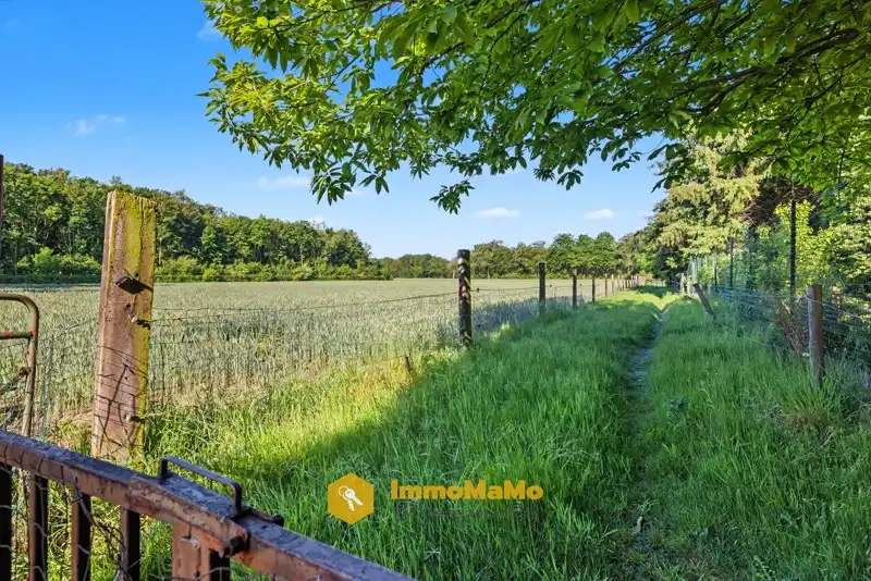 Huis te koop foto 25