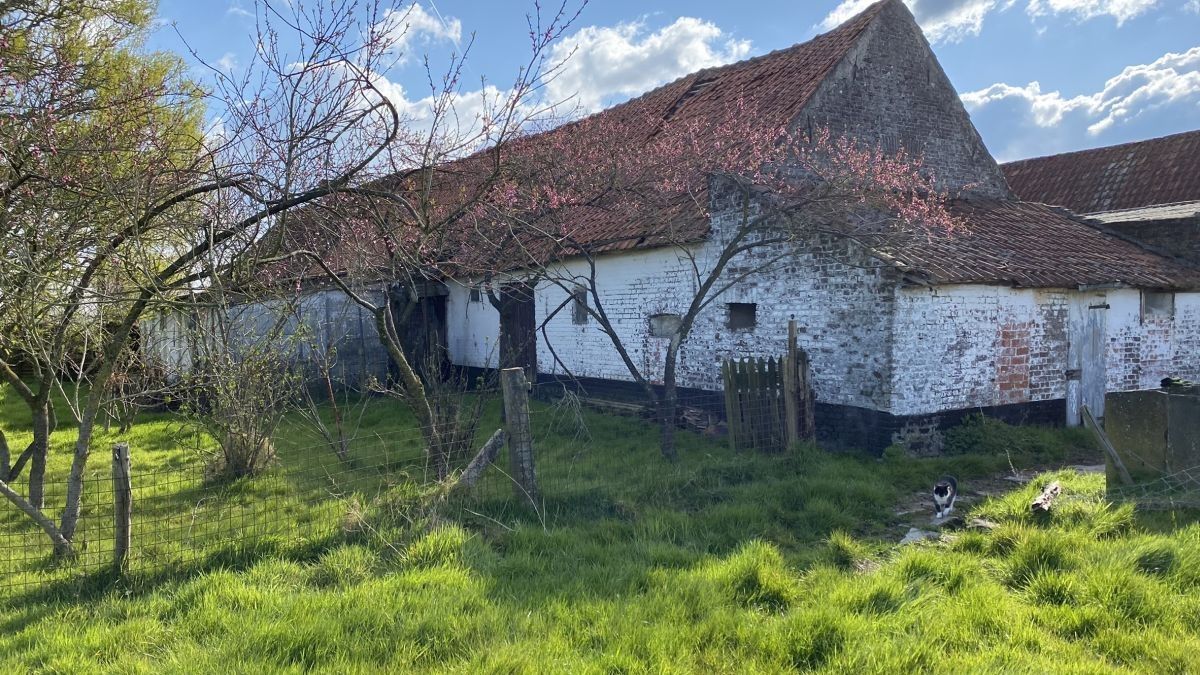 Hoeve met exclusieve ligging in valleigebied te koop te Maldegem foto 8