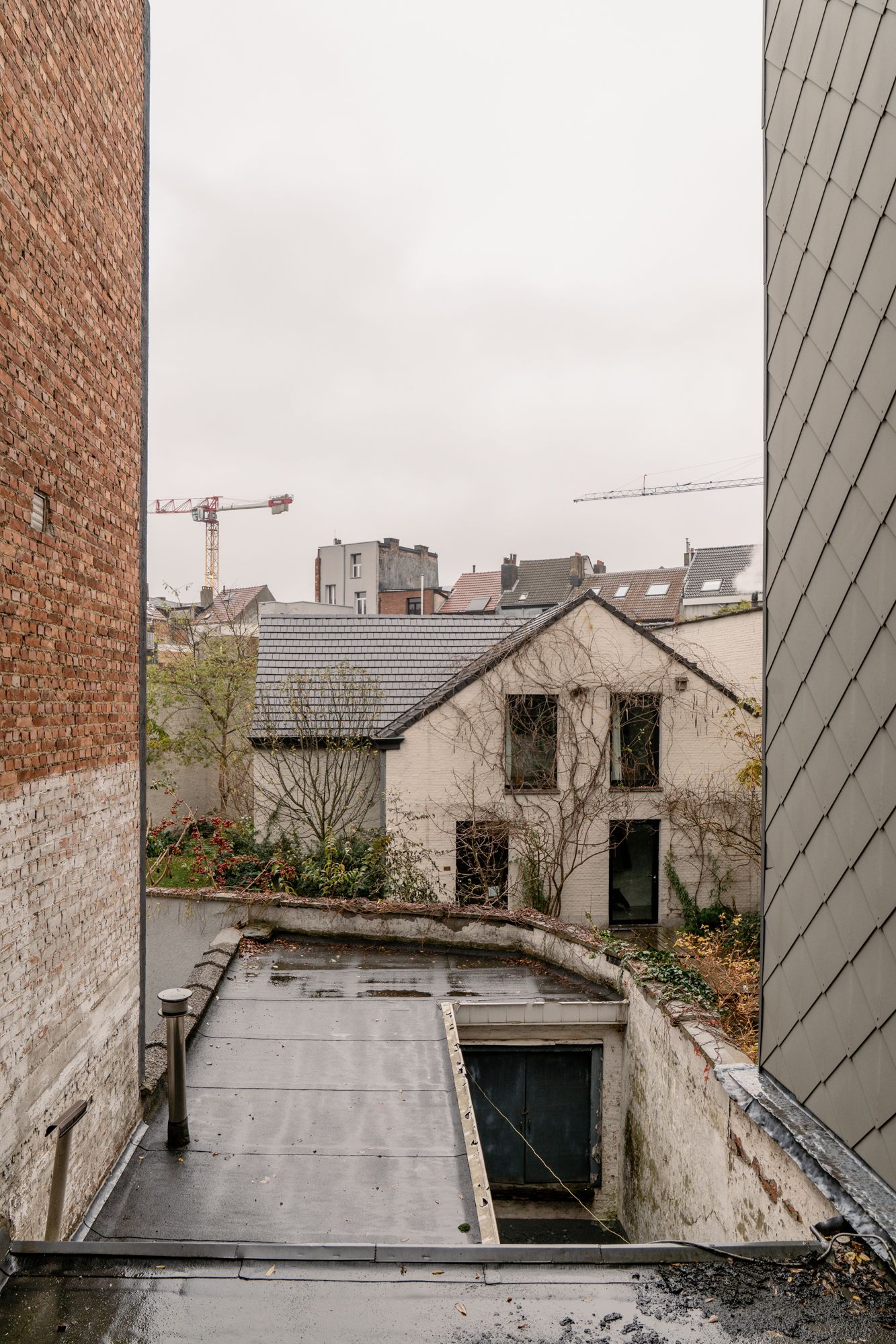 Wrapped in wallpaper: te renoveren of nieuw te bouwen woning in Damtwerpen foto 12